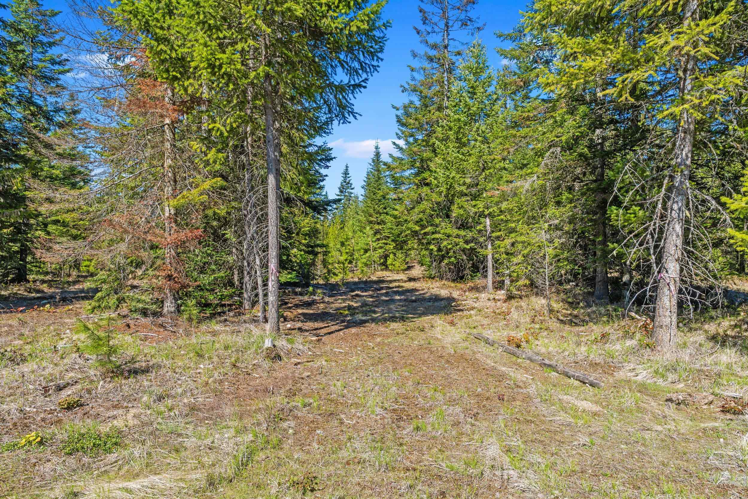 555 Happy Trails Ln - Photo 26