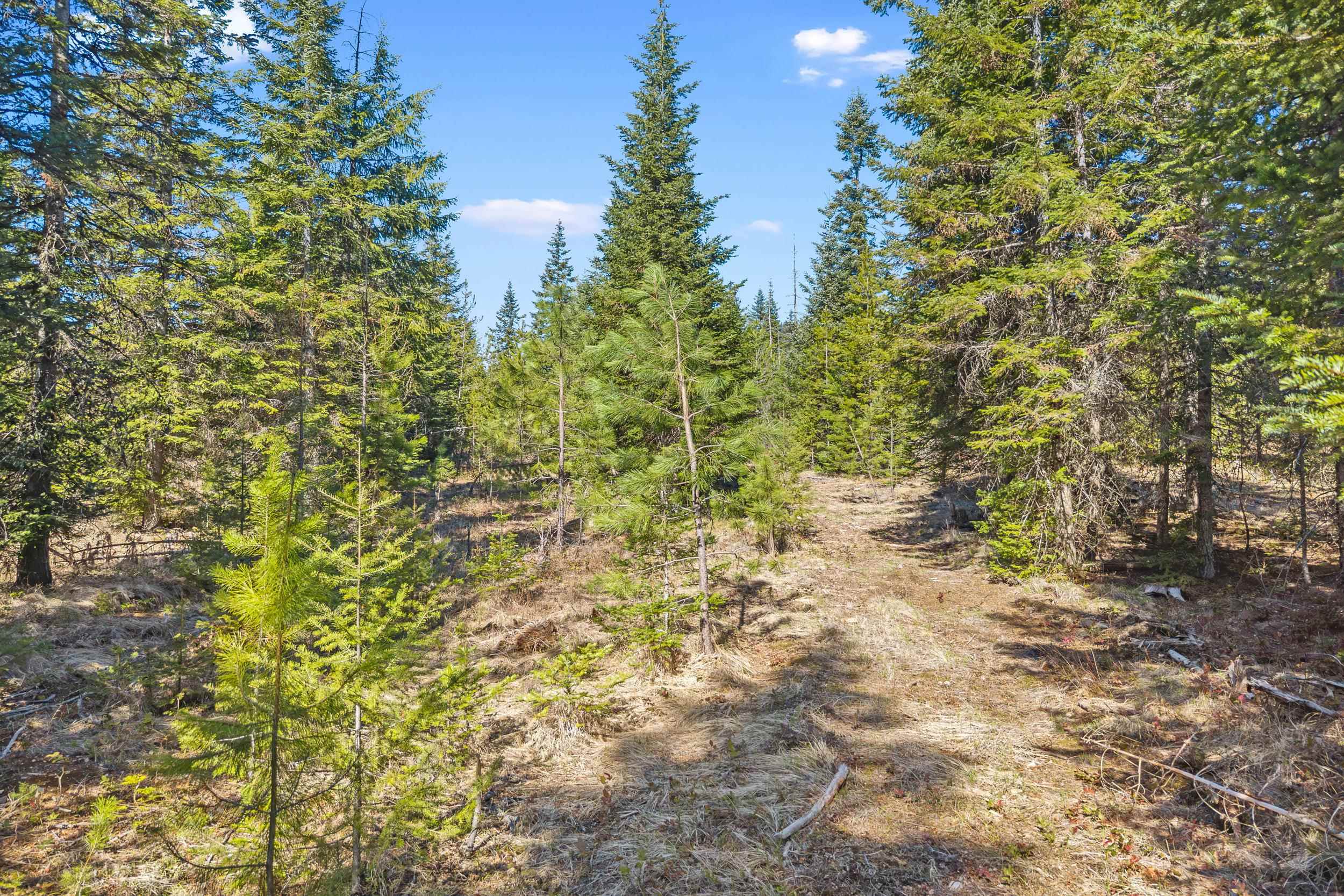 555 Happy Trails Ln - Photo 29