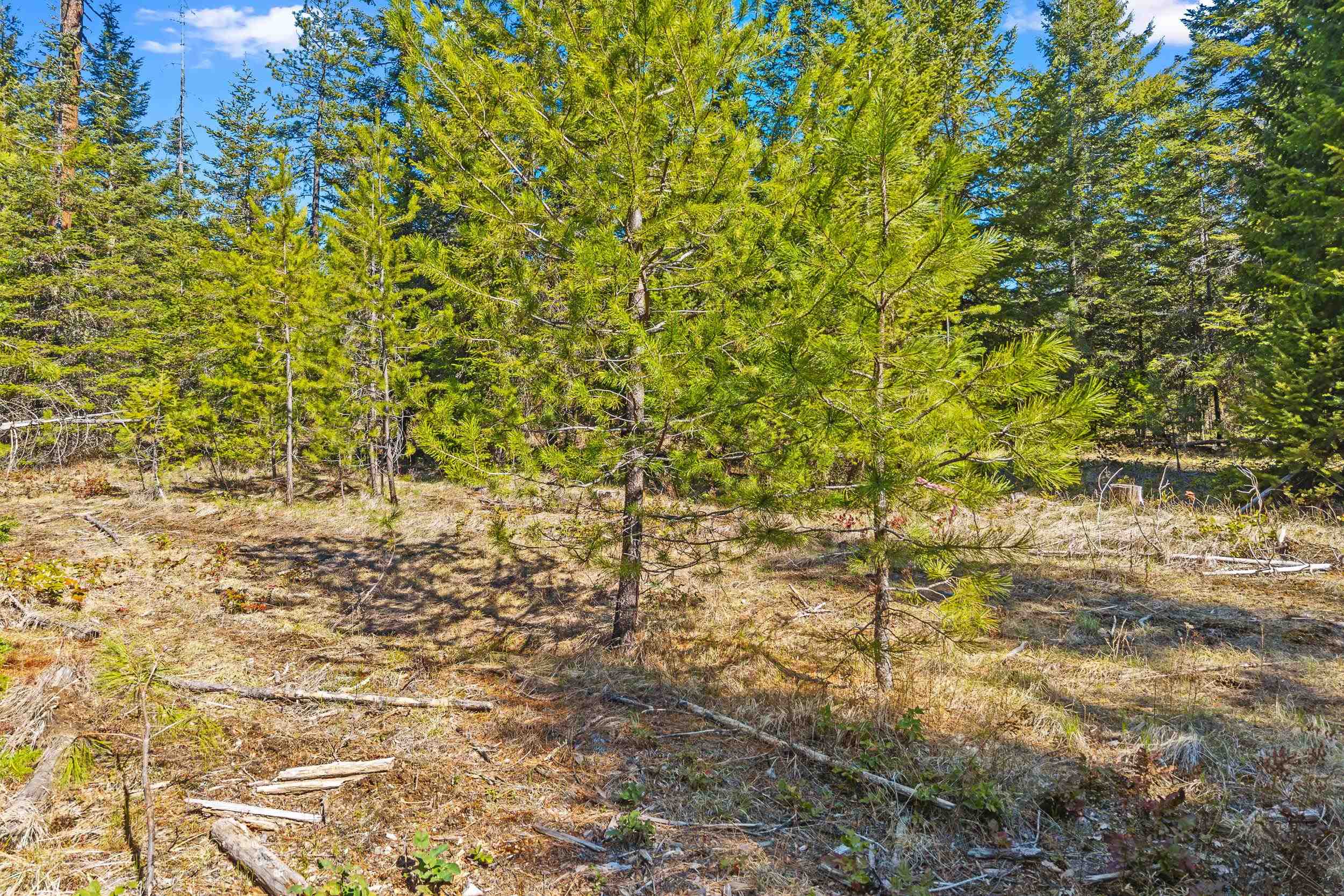 555 Happy Trails Ln - Photo 30