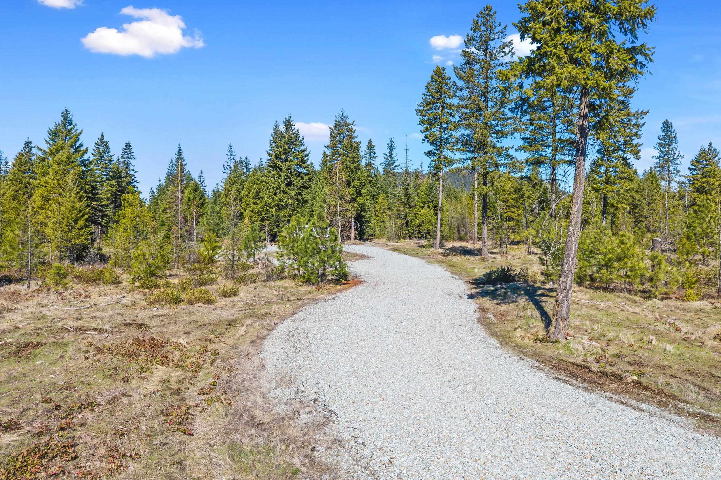 555 Happy Trails Ln - Photo 6