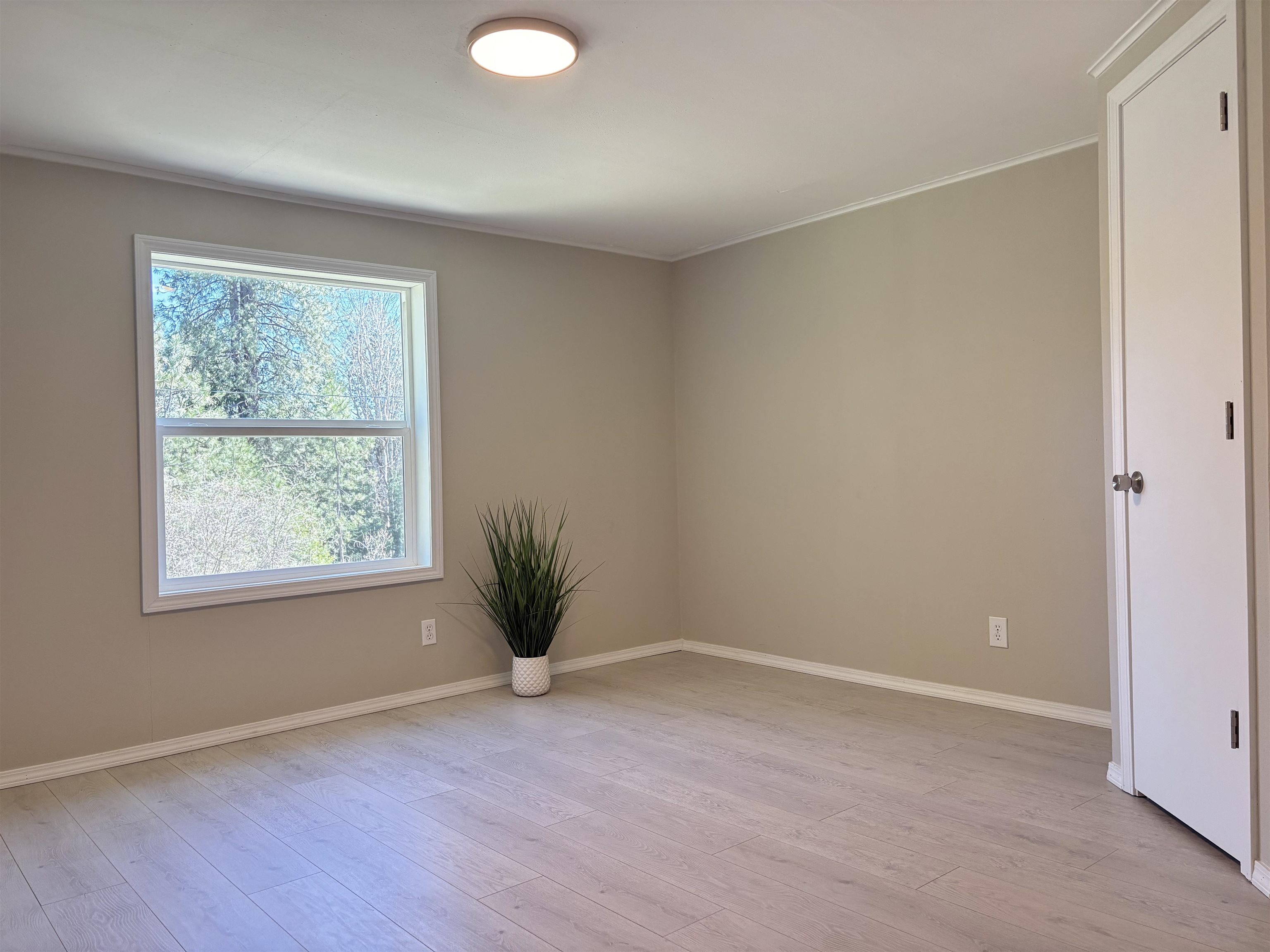 50 Brook Dr - Photo 19