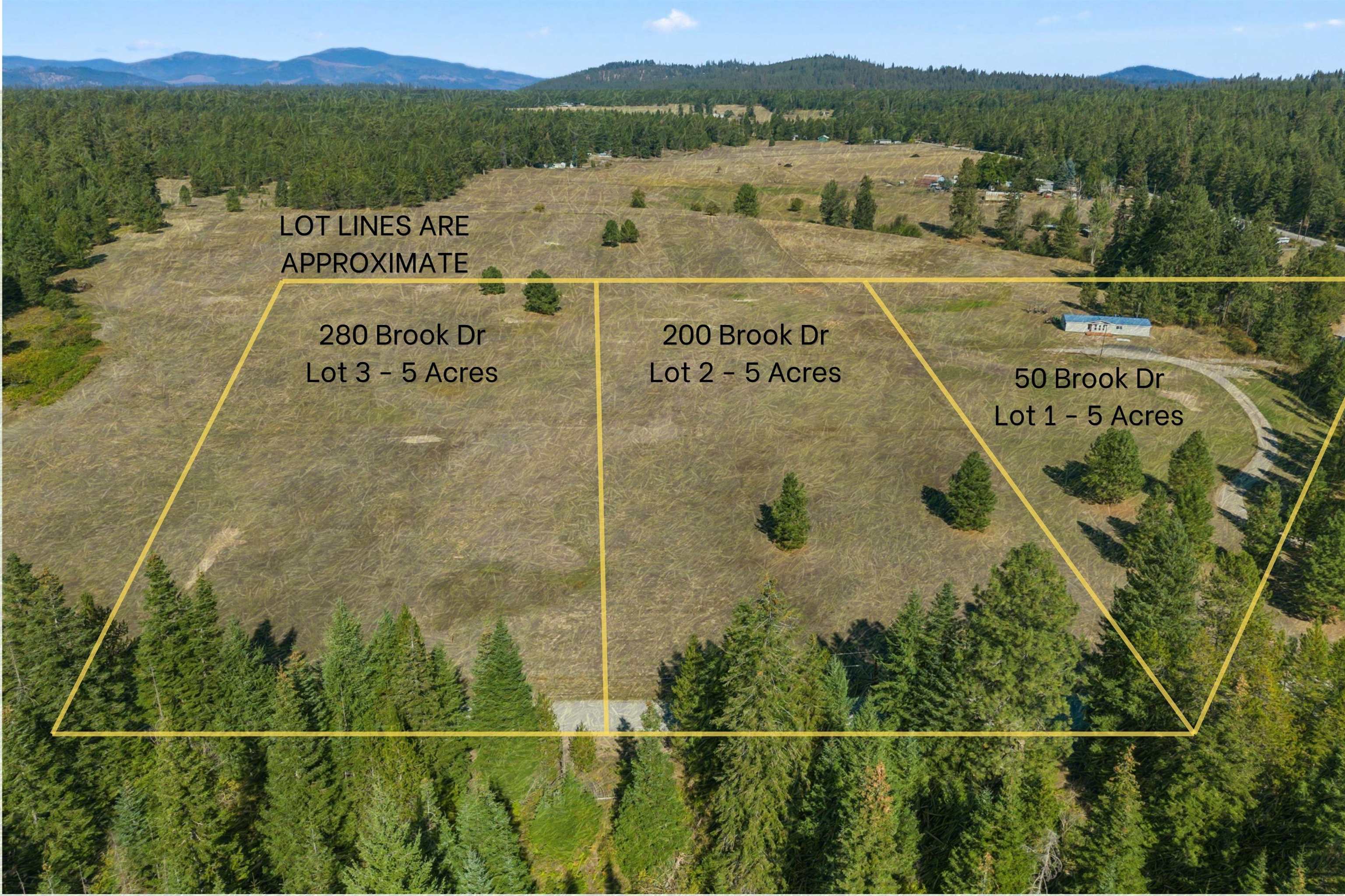 50 Brook Dr - Photo 4