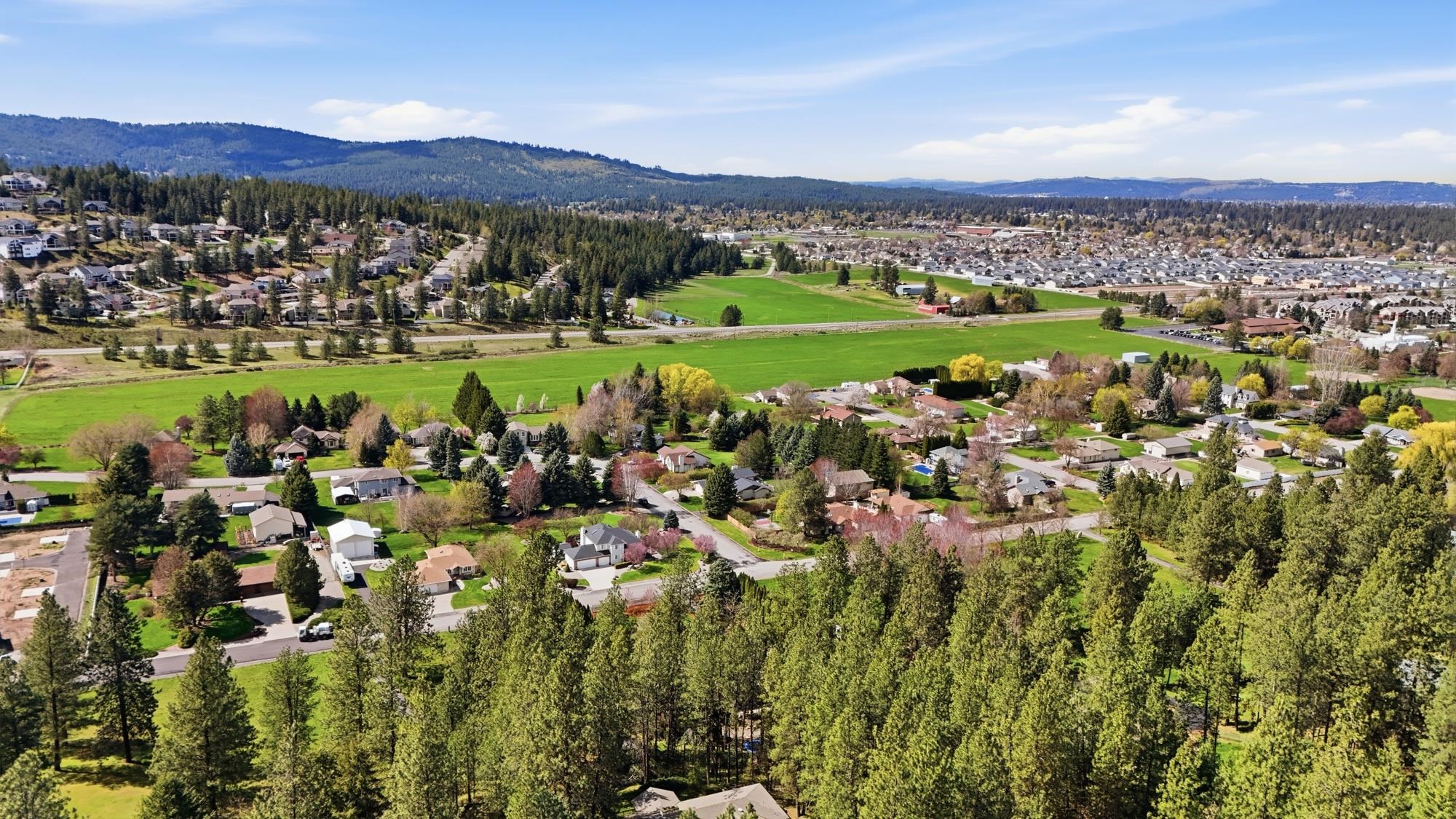 4317 S EVERGREEN Rd - Photo 44