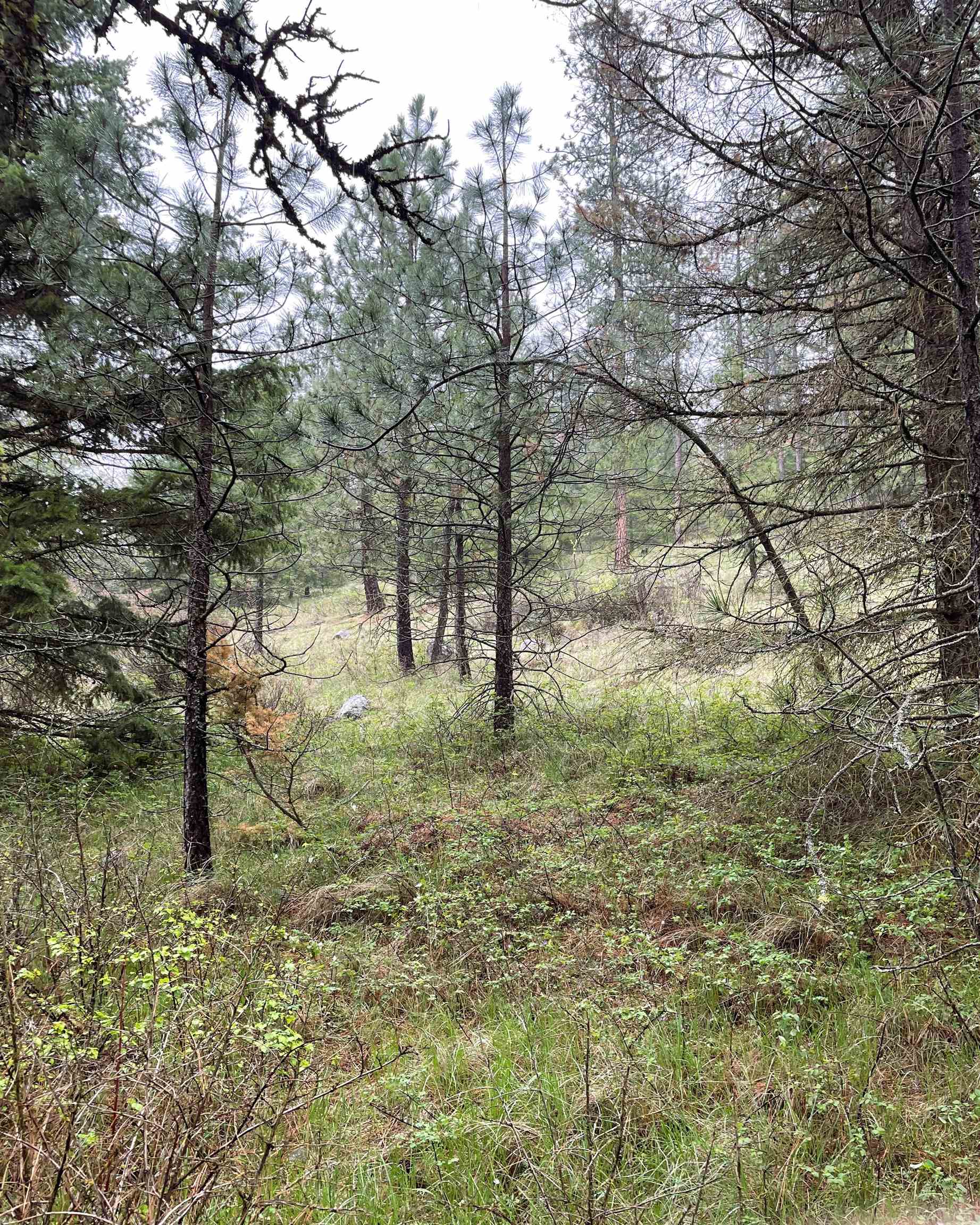 3561 Ravenwood Way - Photo 8