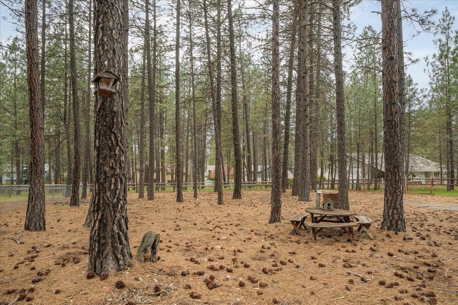 18011 N Saddle Hill Rd - Photo 38