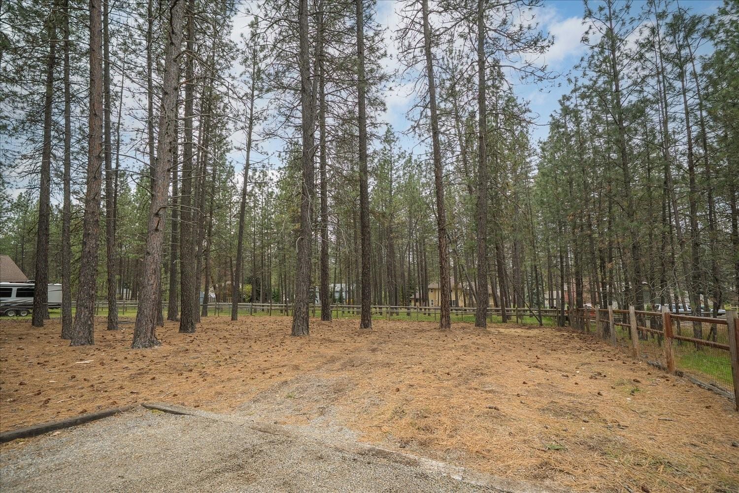 18011 N Saddle Hill Rd - Photo 39
