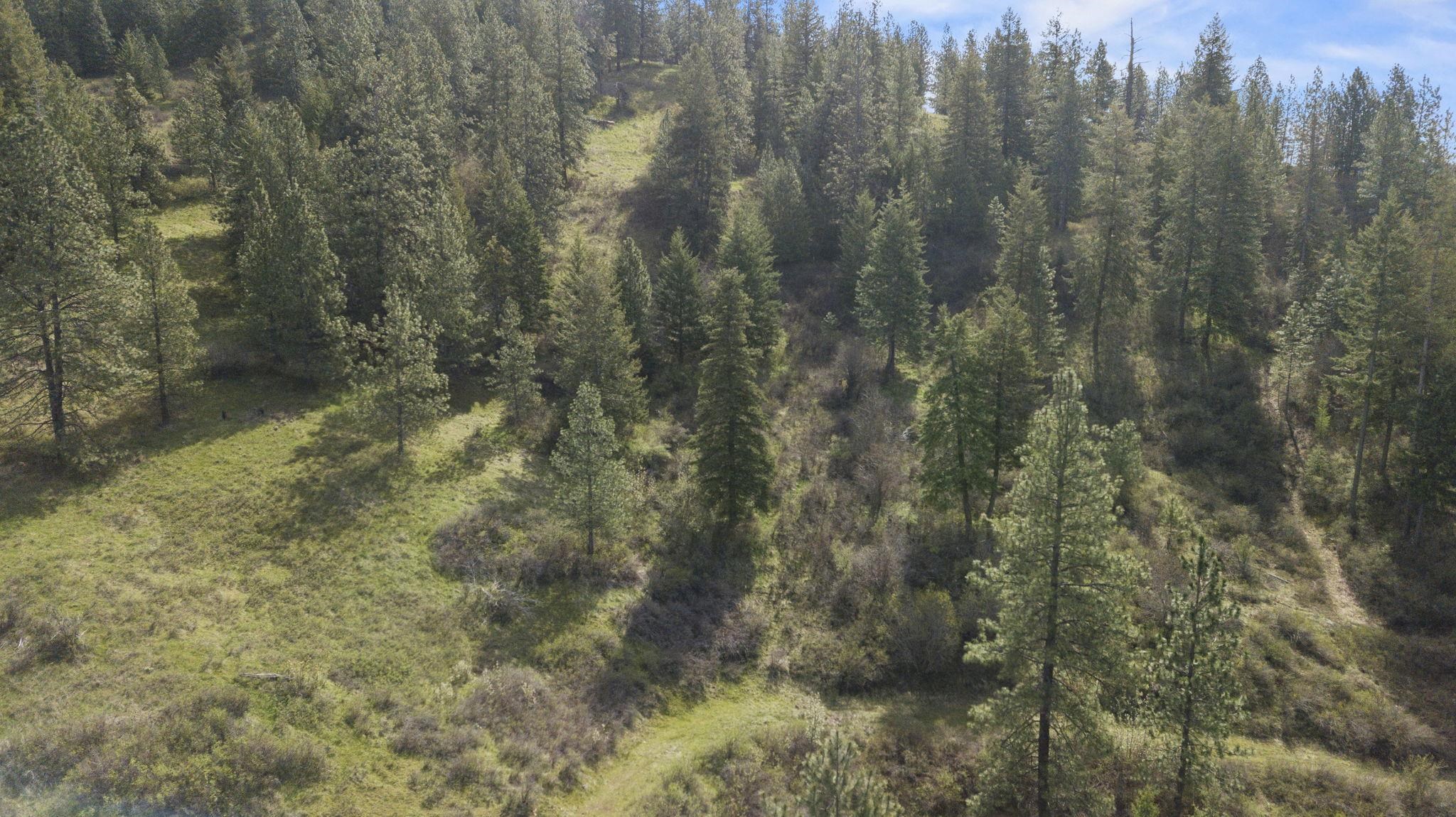 N Rockspring Ln - Photo 14