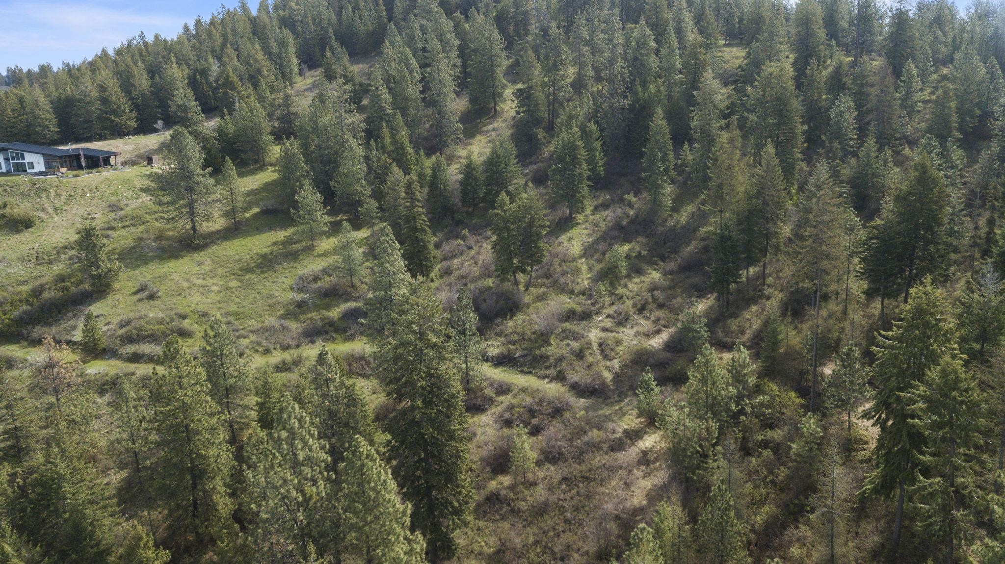 N Rockspring Ln - Photo 15