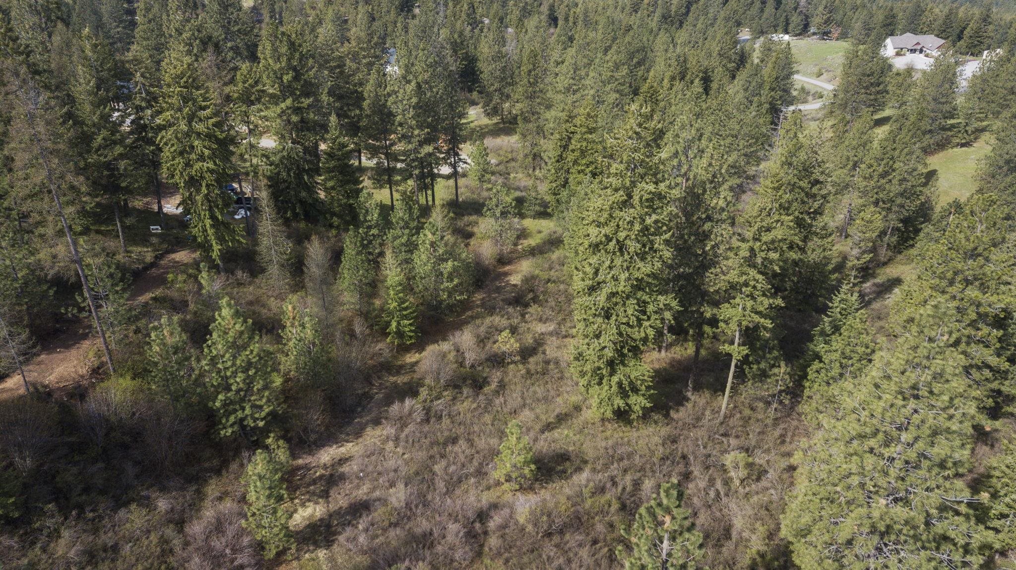 N Rockspring Ln - Photo 24