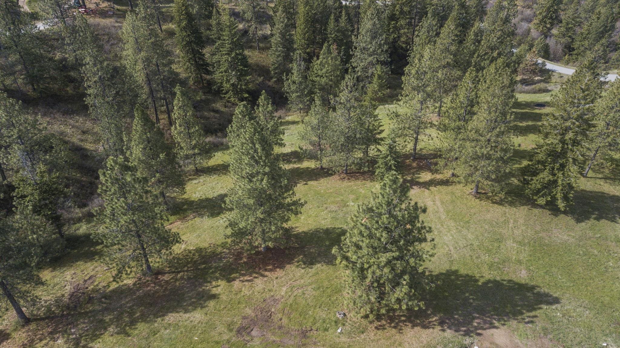 N Rockspring Ln - Photo 26
