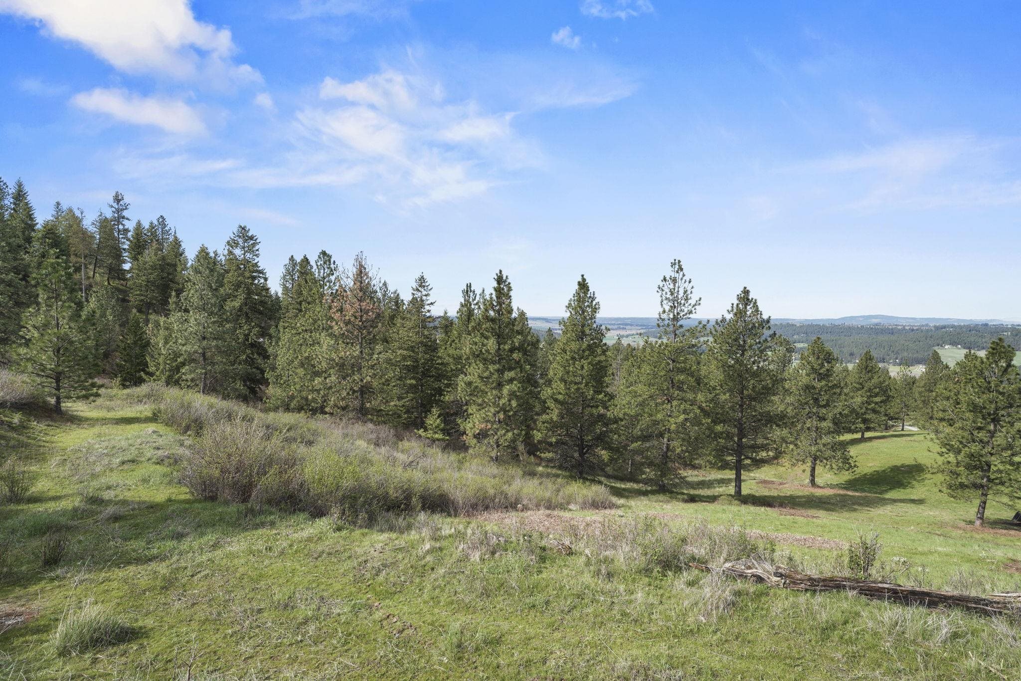 N Rockspring Ln - Photo 9