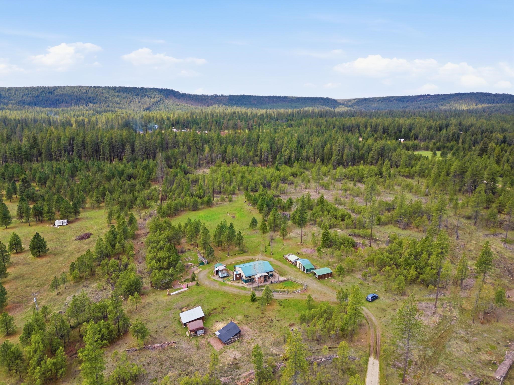 4548 Emilys Way - Photo 34