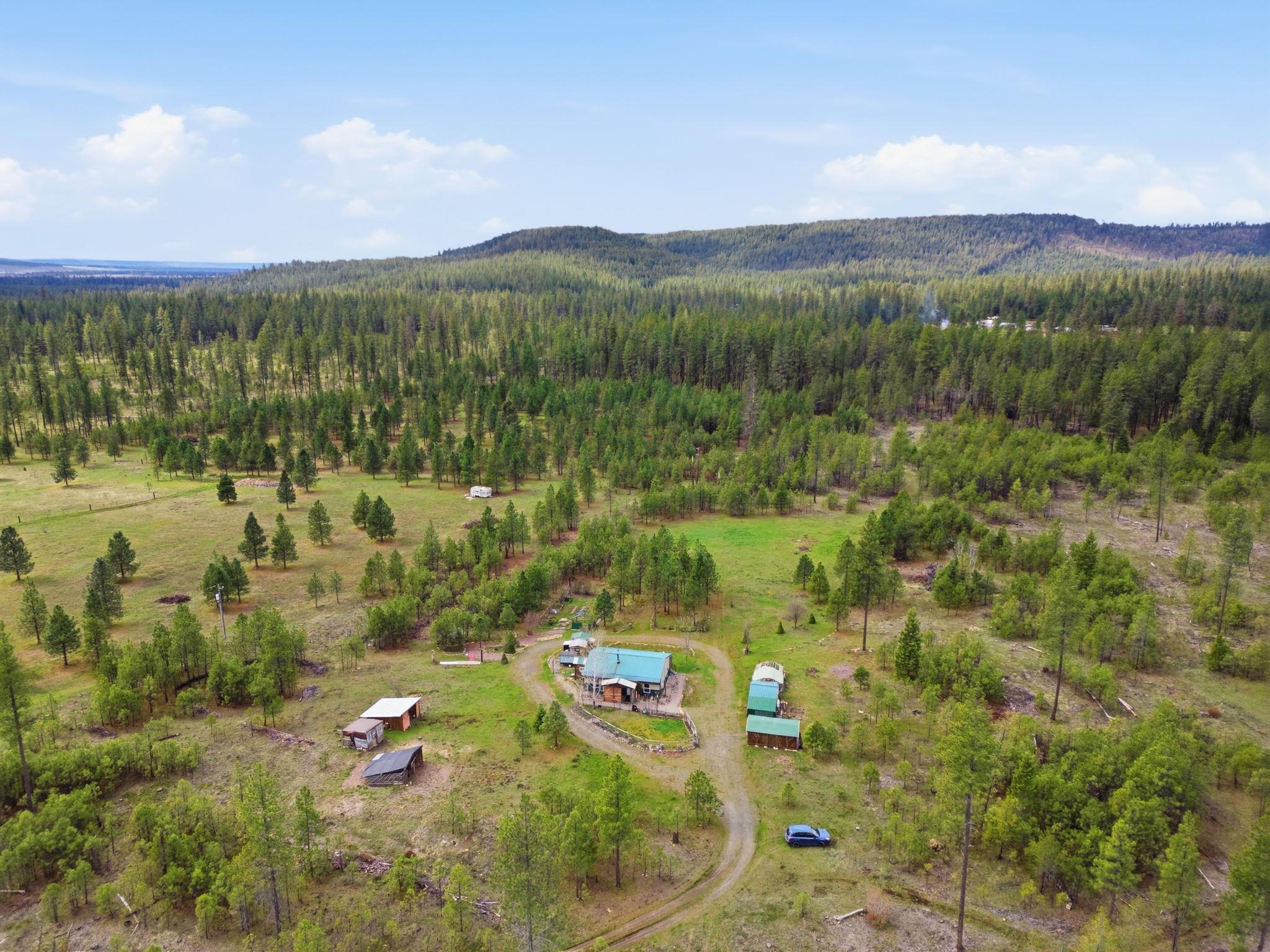 4548 Emilys Way - Photo 41