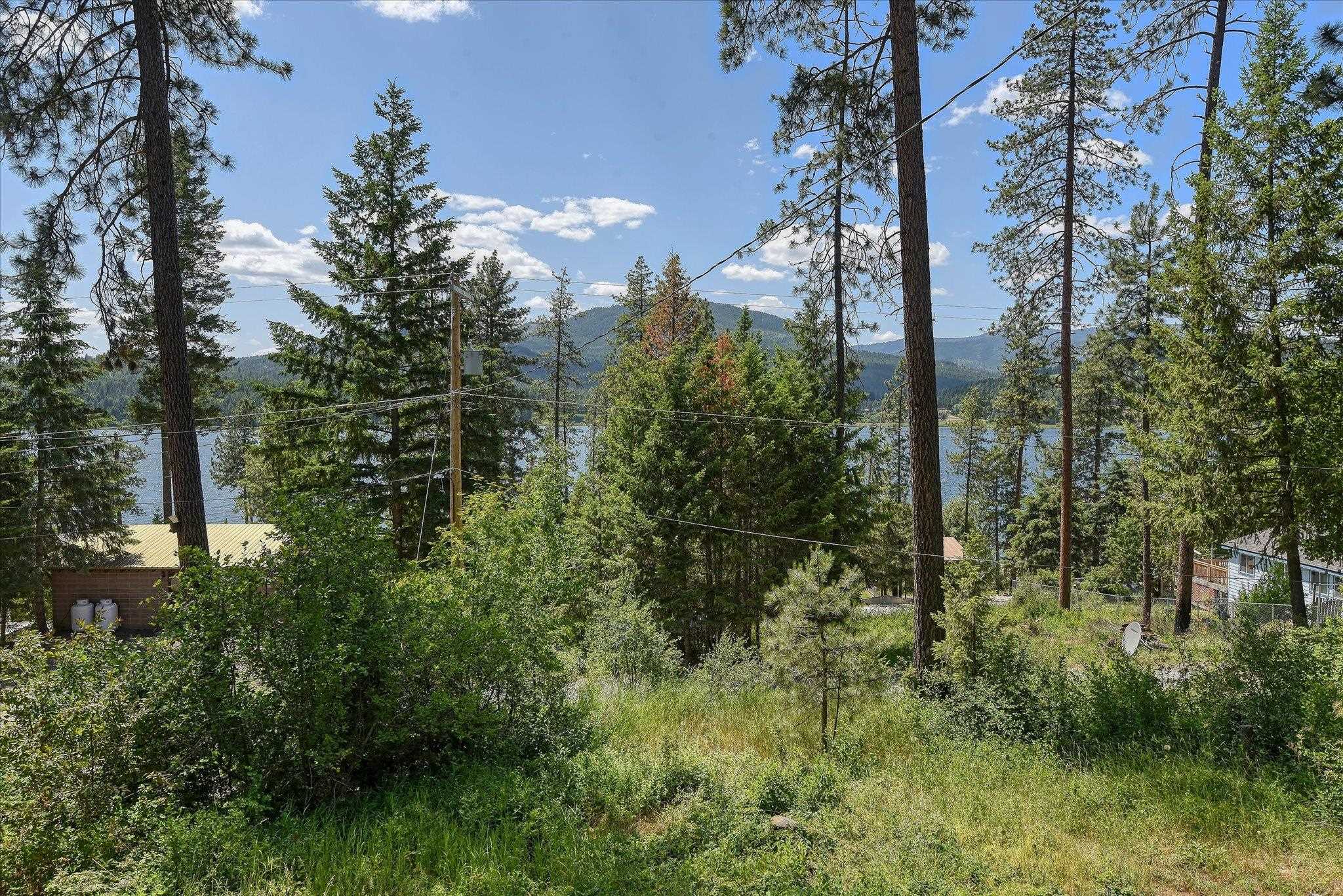 33348 Lakeview Ln - Photo 32