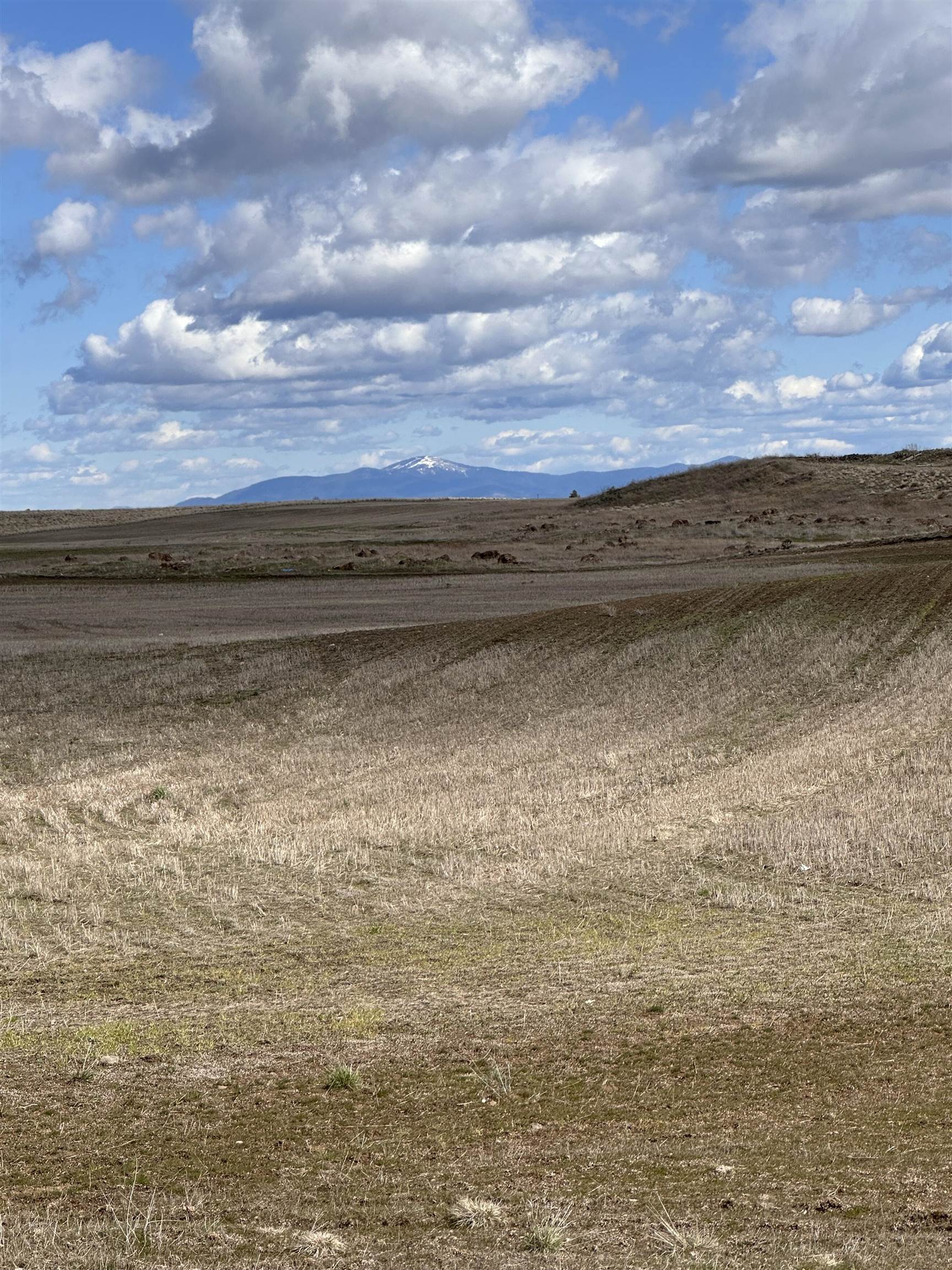 16600 W Highway 2 Hwy - Photo 8