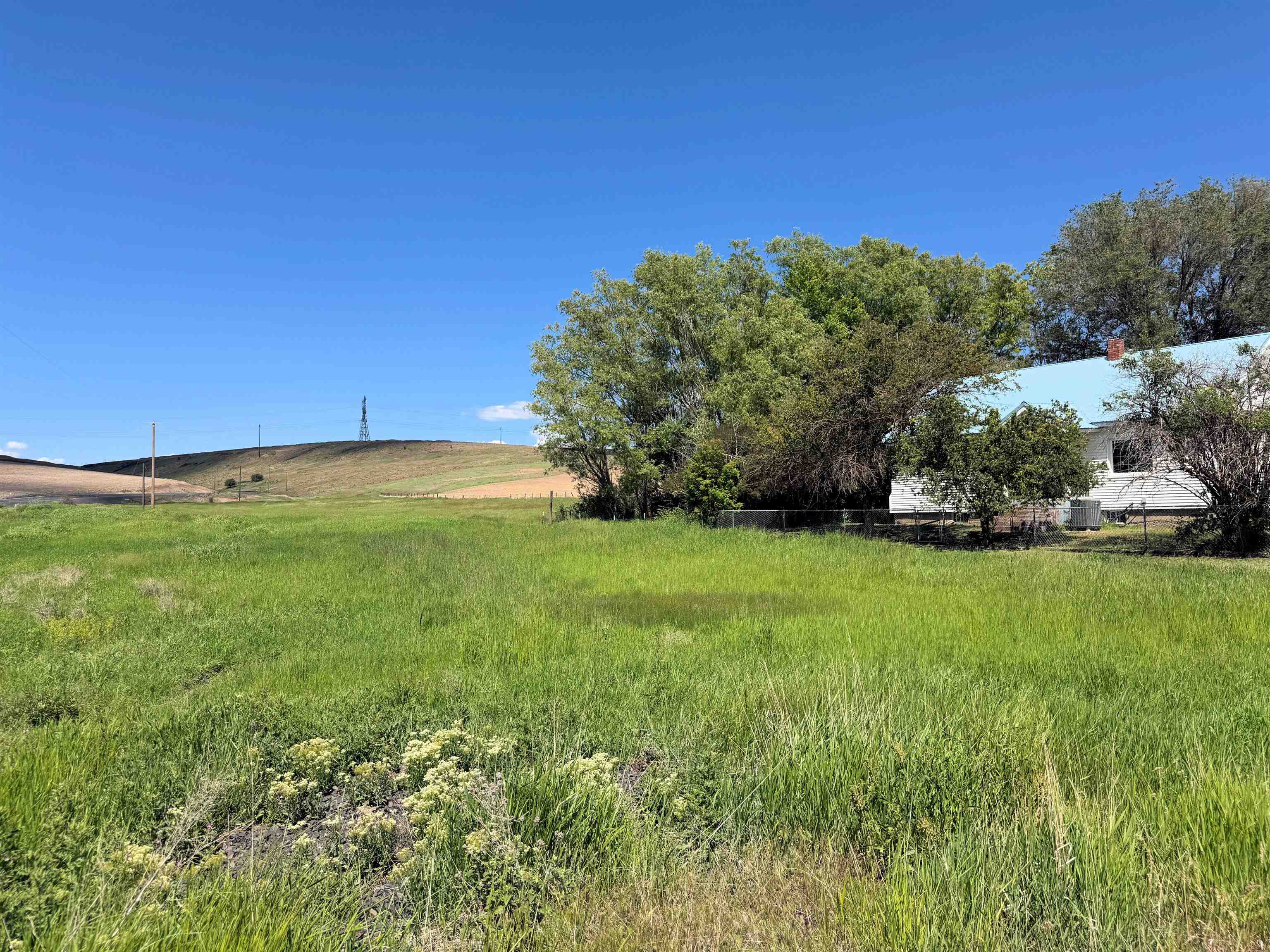39500 N SR 21 Hwy - Photo 2