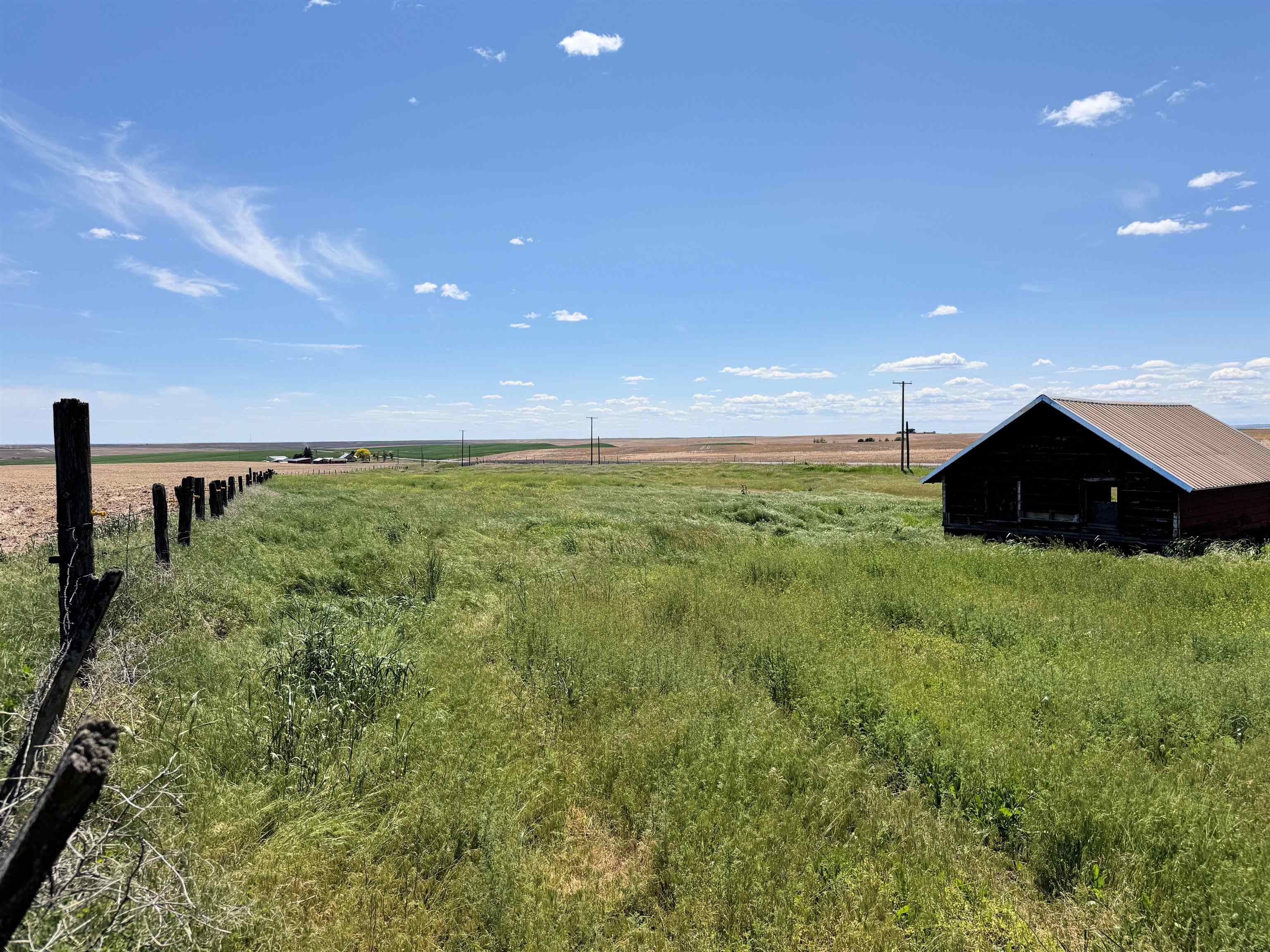 39500 N SR 21 Hwy - Photo 13