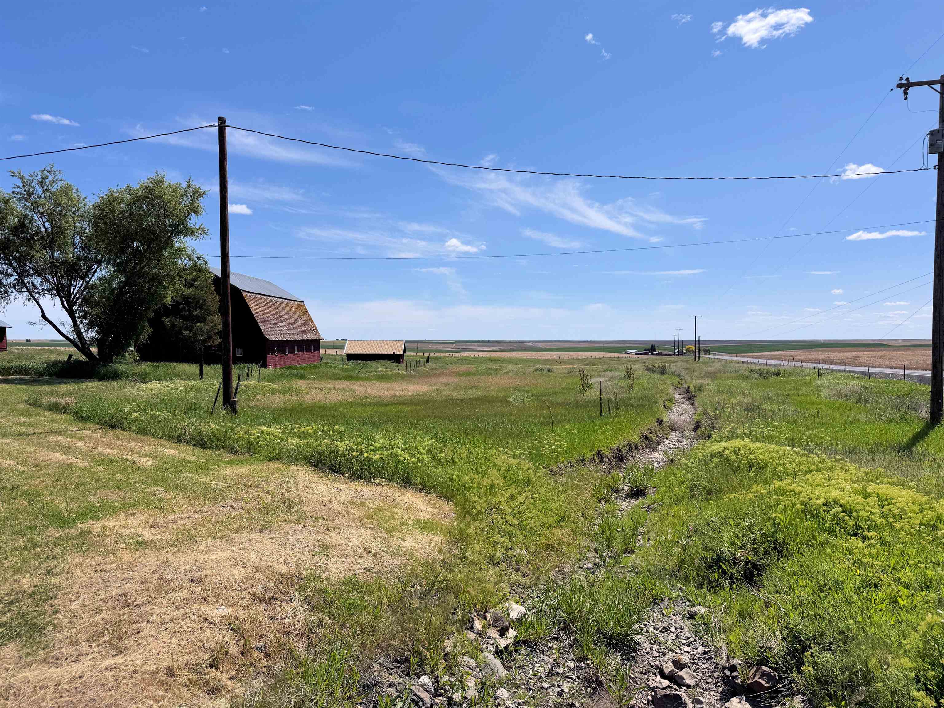 39500 N SR 21 Hwy - Photo 14