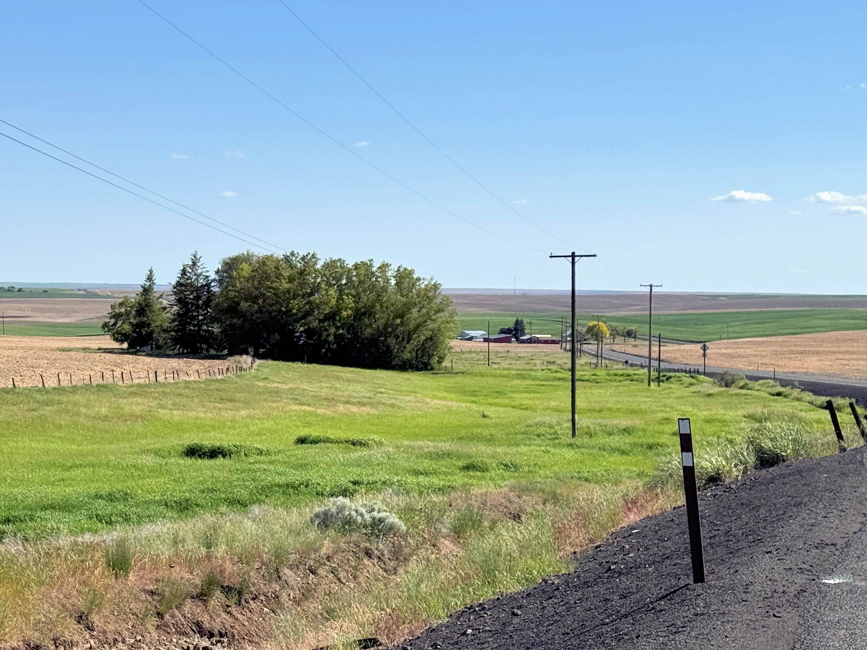 39500 N SR 21 Hwy - Photo 15