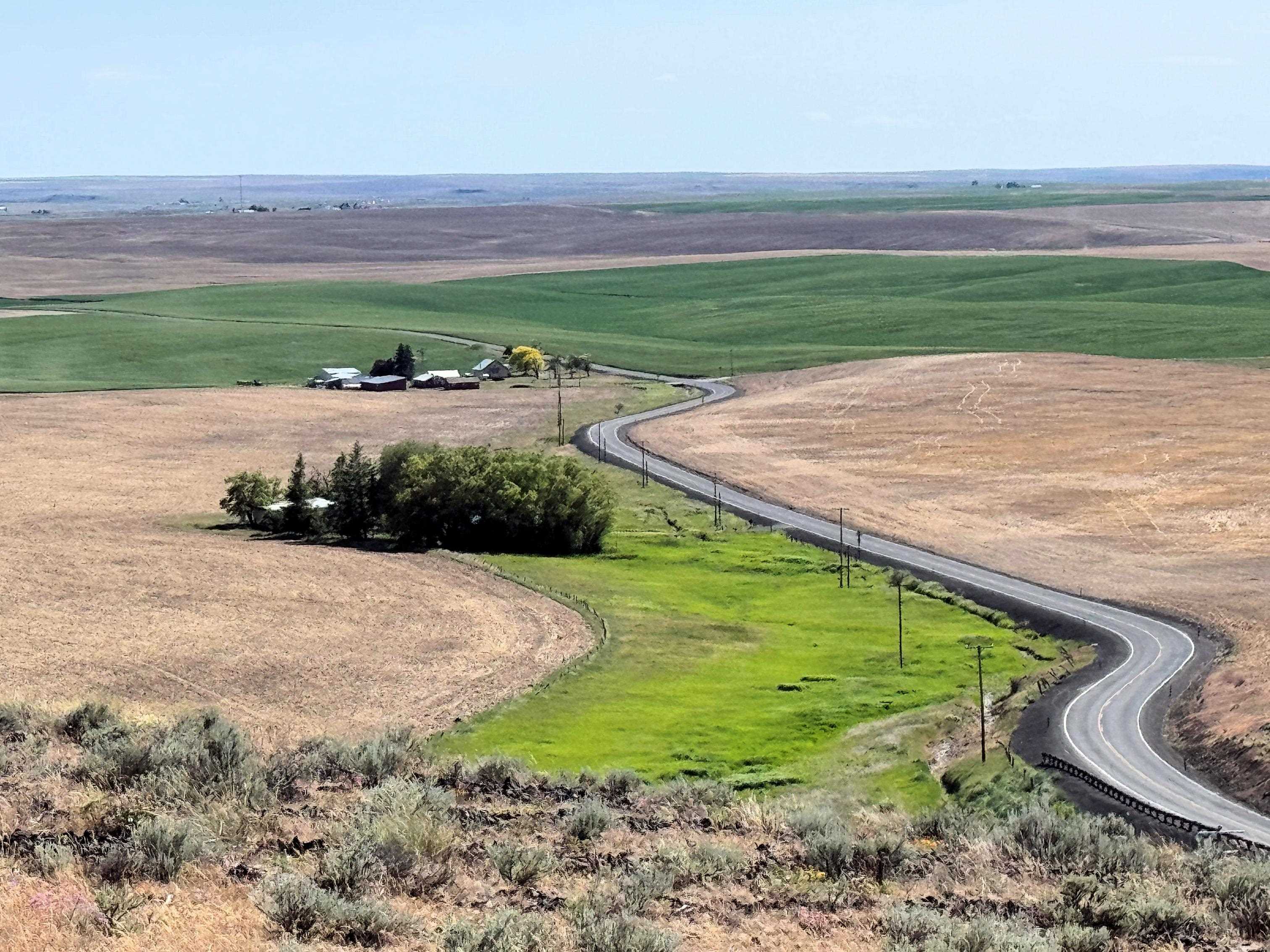 39500 N SR 21 Hwy - Photo 16