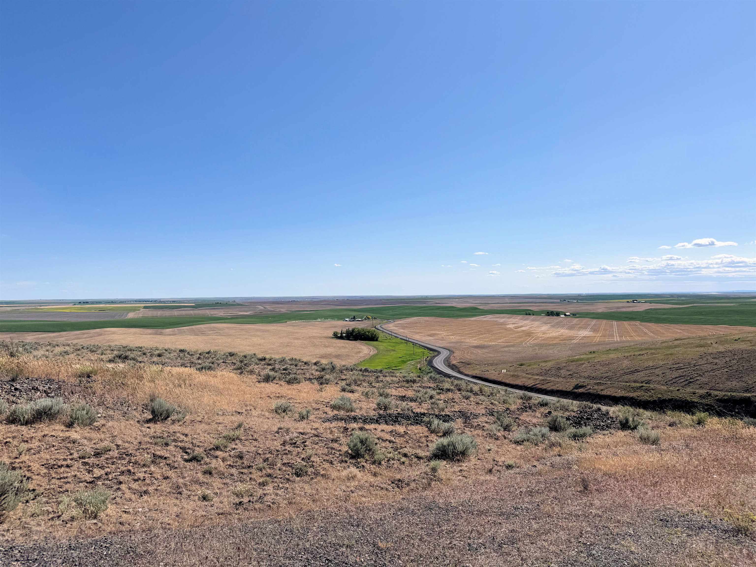 39500 N SR 21 Hwy - Photo 17