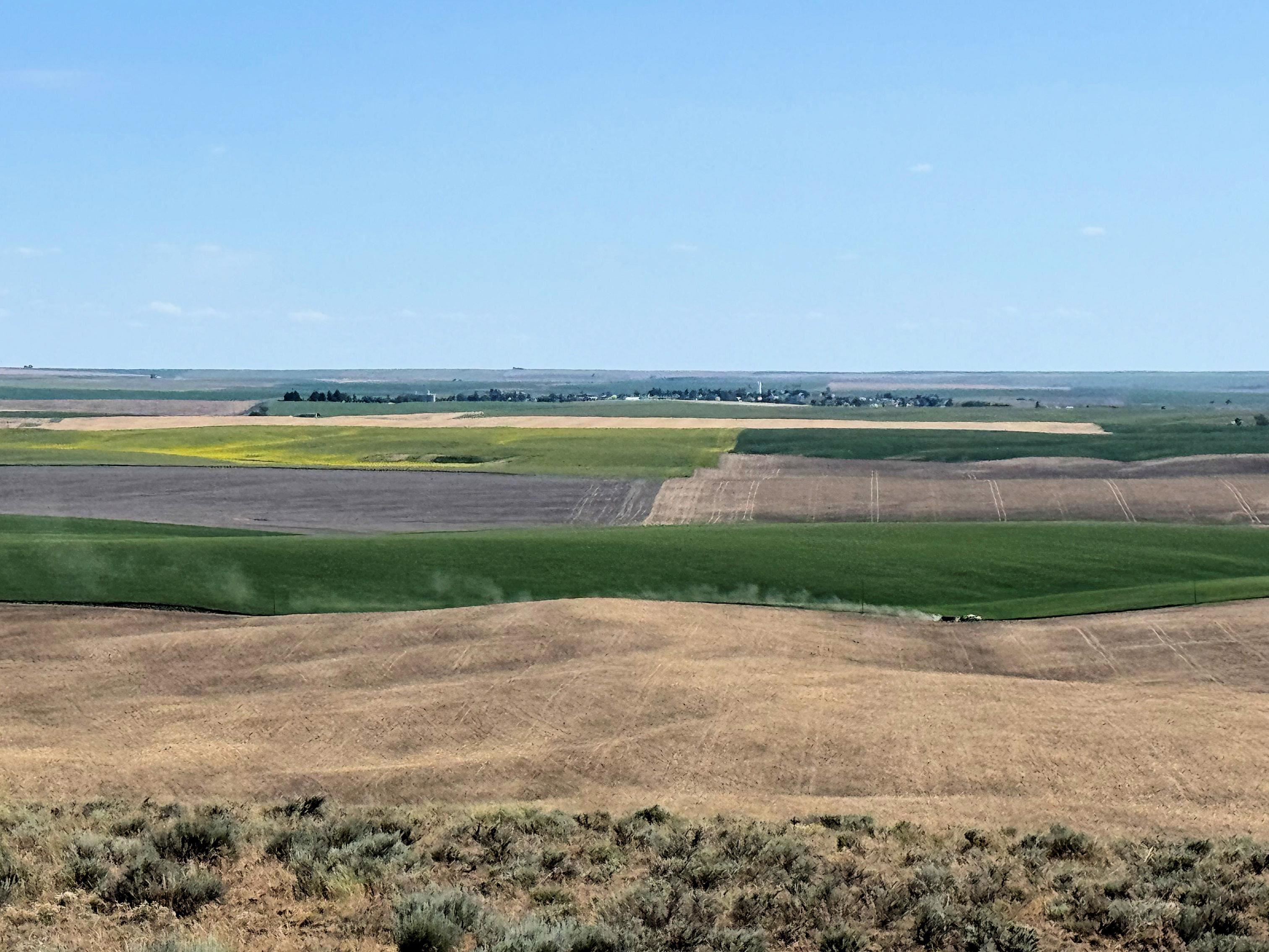 39500 N SR 21 Hwy - Photo 18