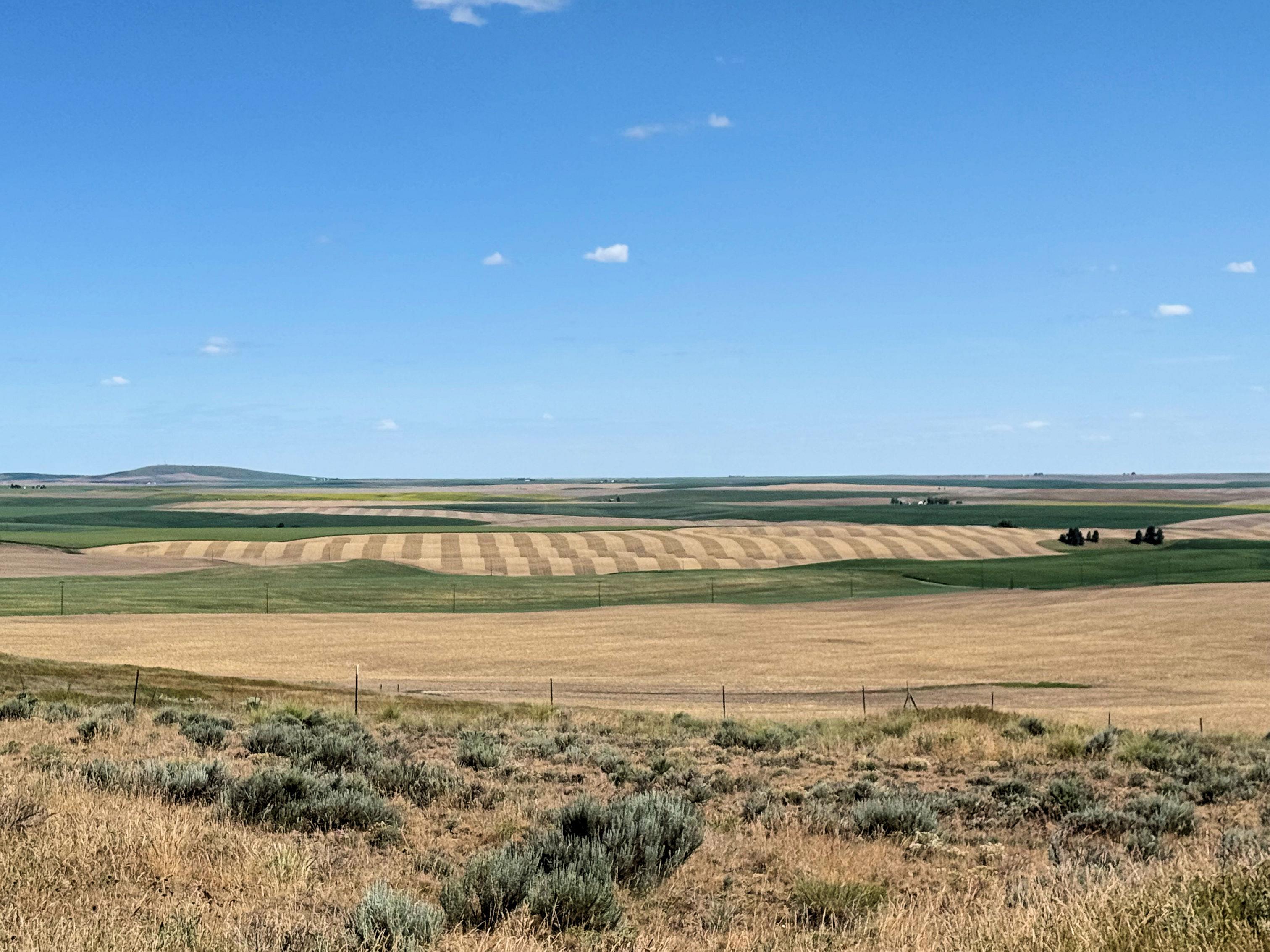 39500 N SR 21 Hwy - Photo 19