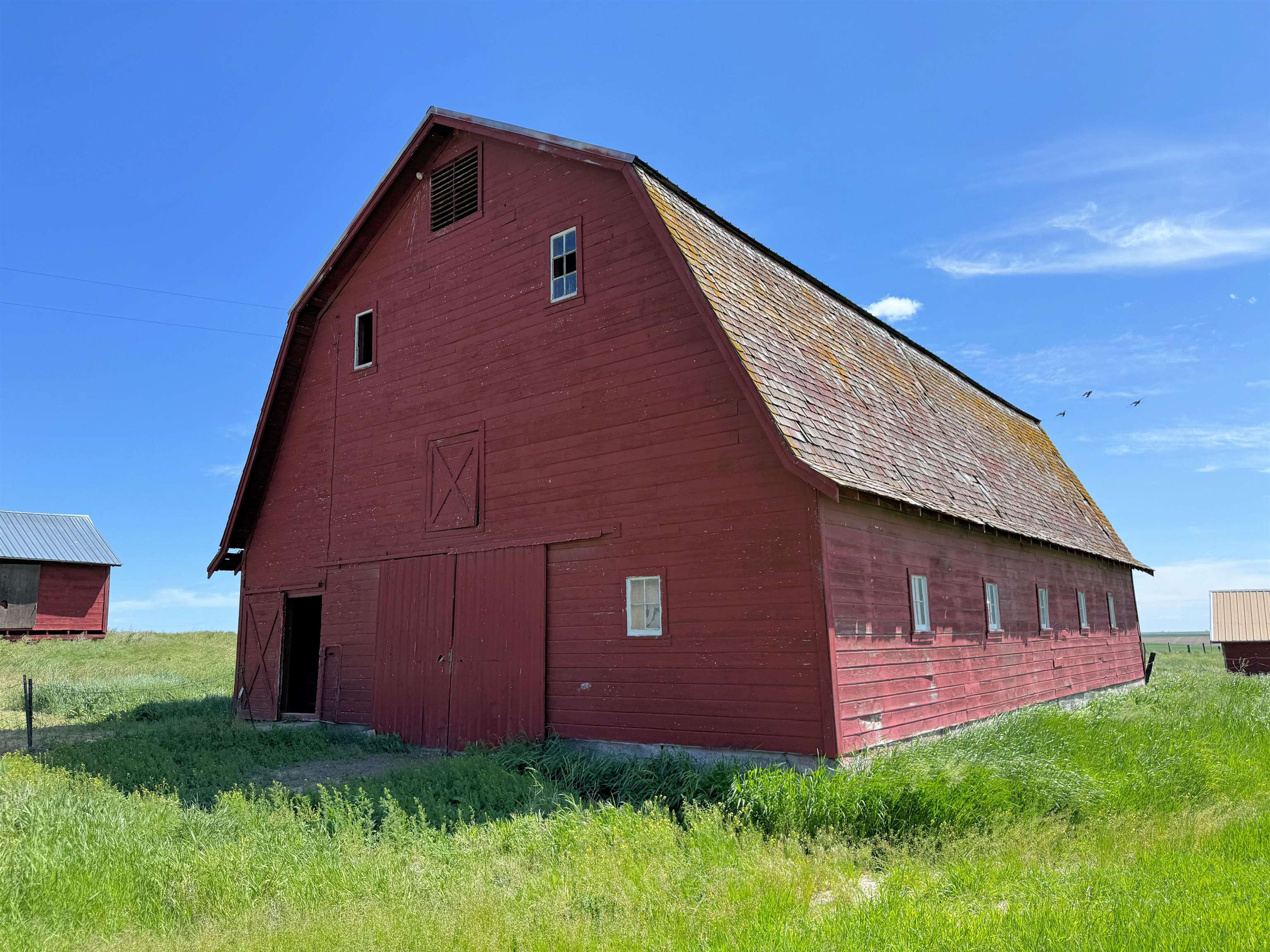 39500 N SR 21 Hwy - Photo 3