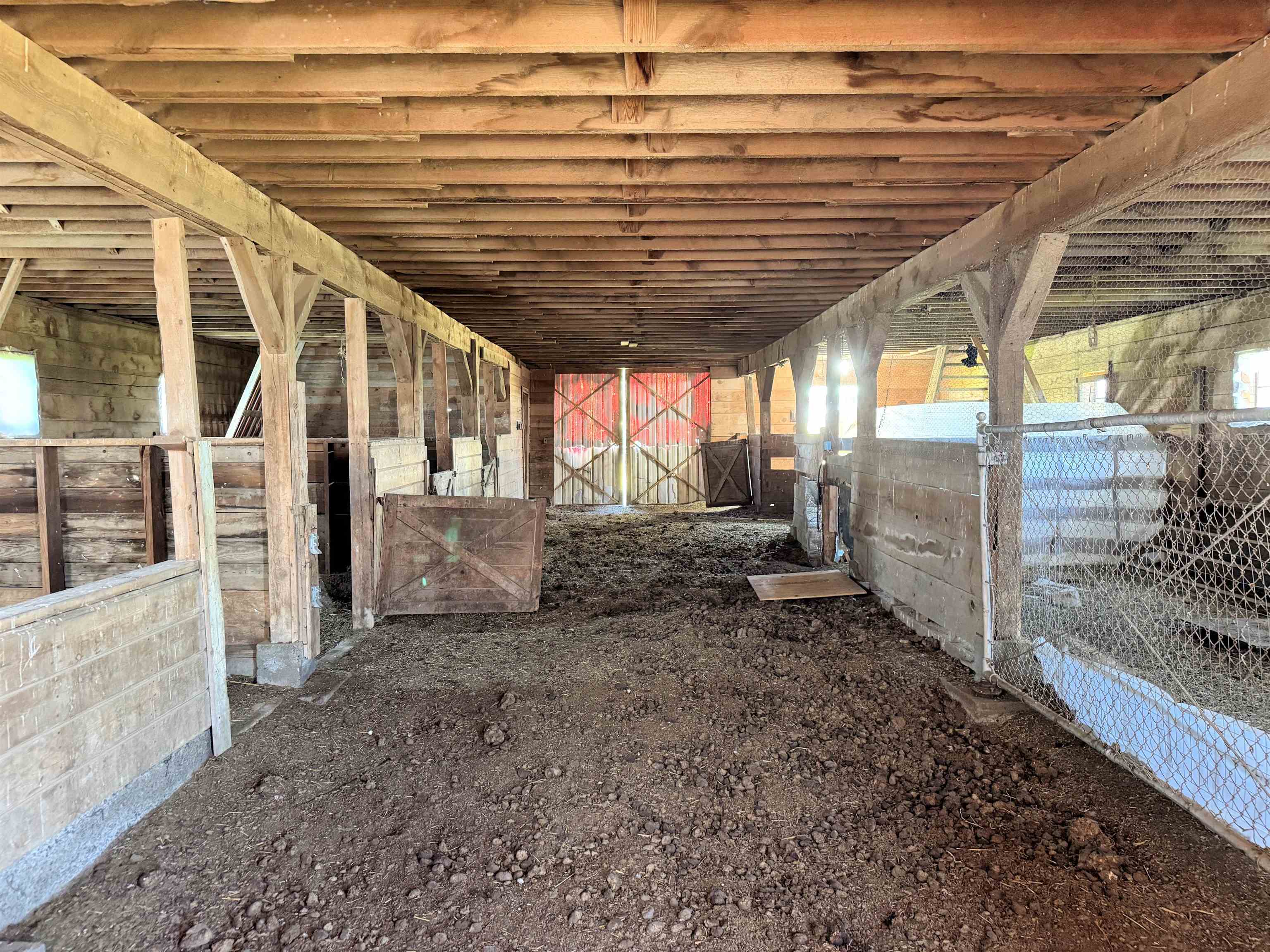 39500 N SR 21 Hwy - Photo 4