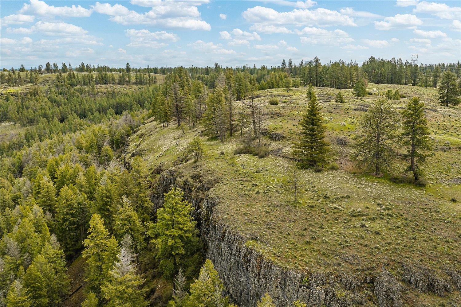 Tract 231 Hawk Creek - Photo 2