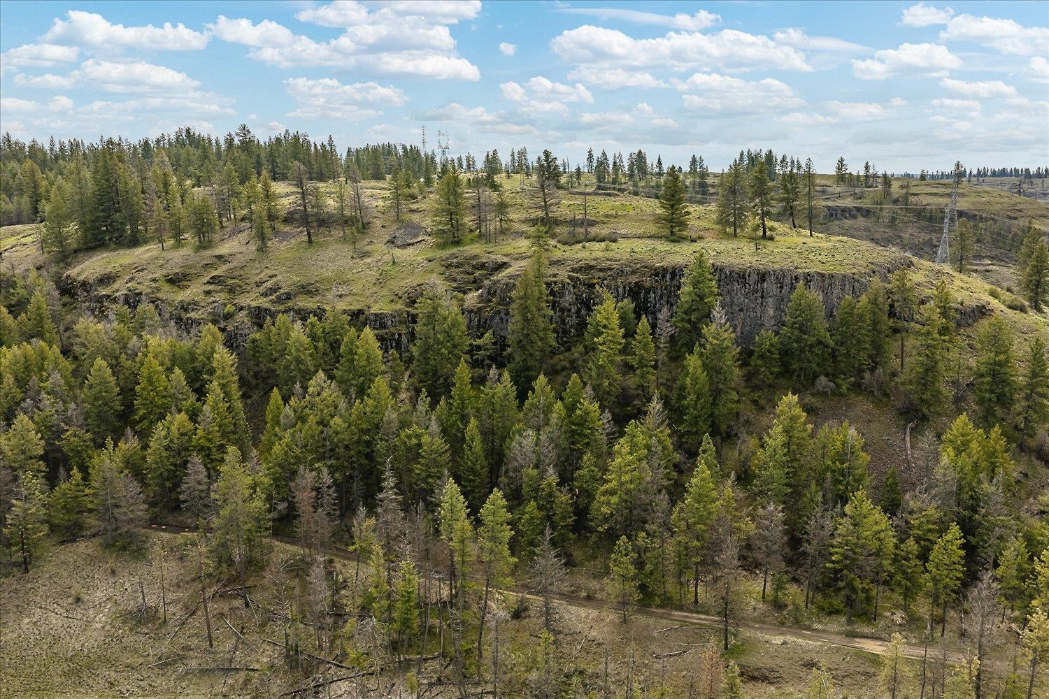 Tract 231 Hawk Creek - Photo 11