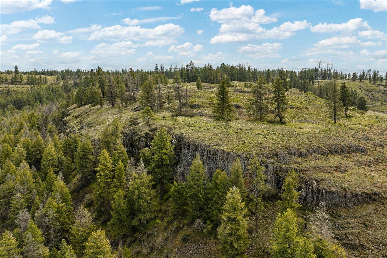 Tract 231 Hawk Creek - Photo 12