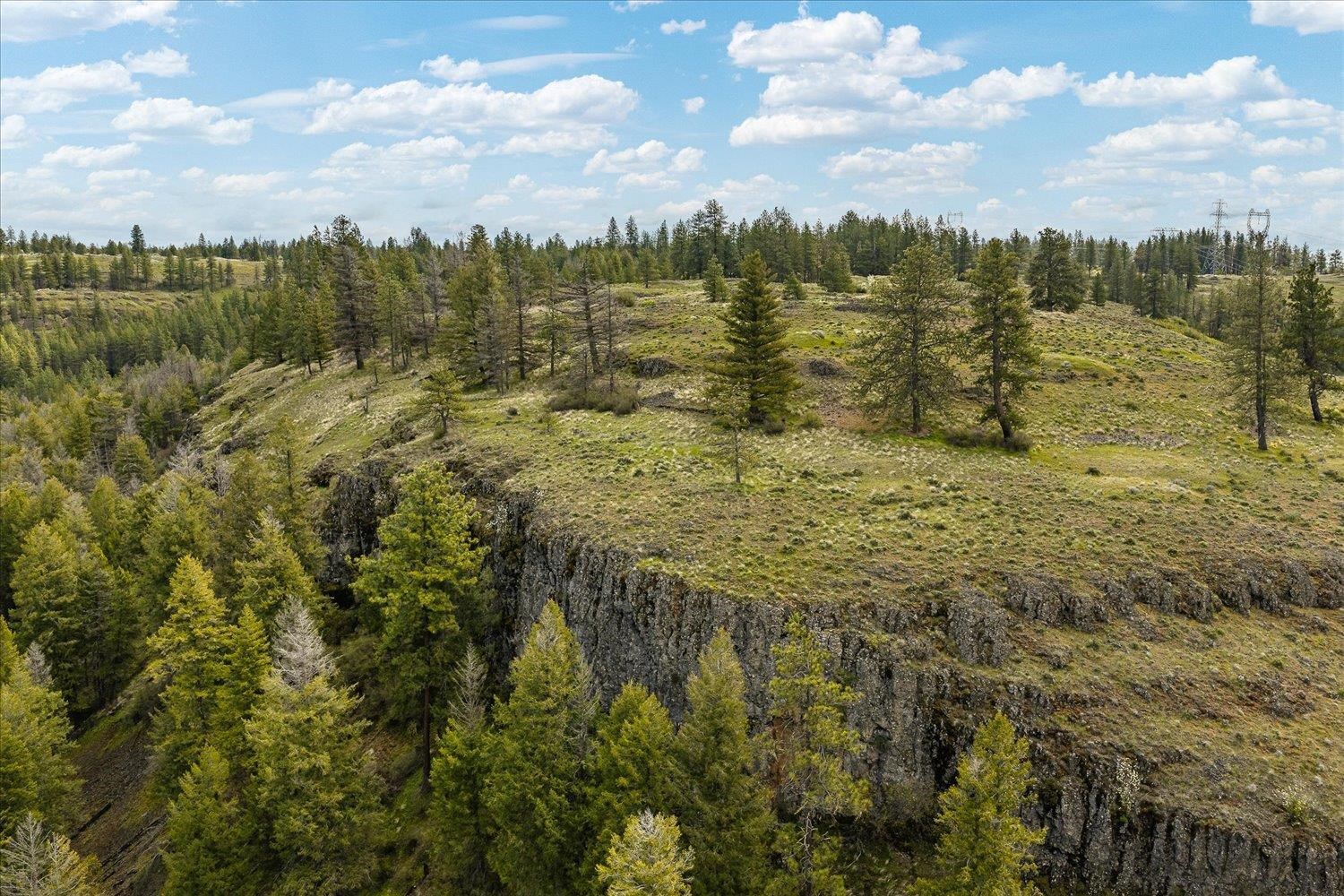 Tract 231 Hawk Creek - Photo 13