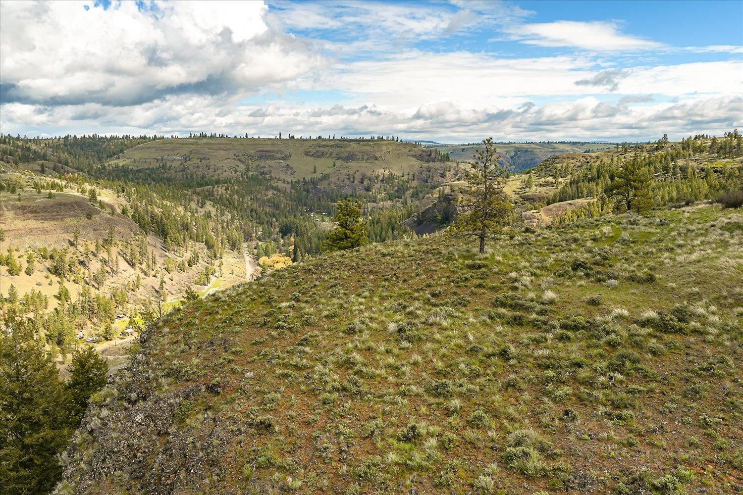 Tract 231 Hawk Creek - Photo 15