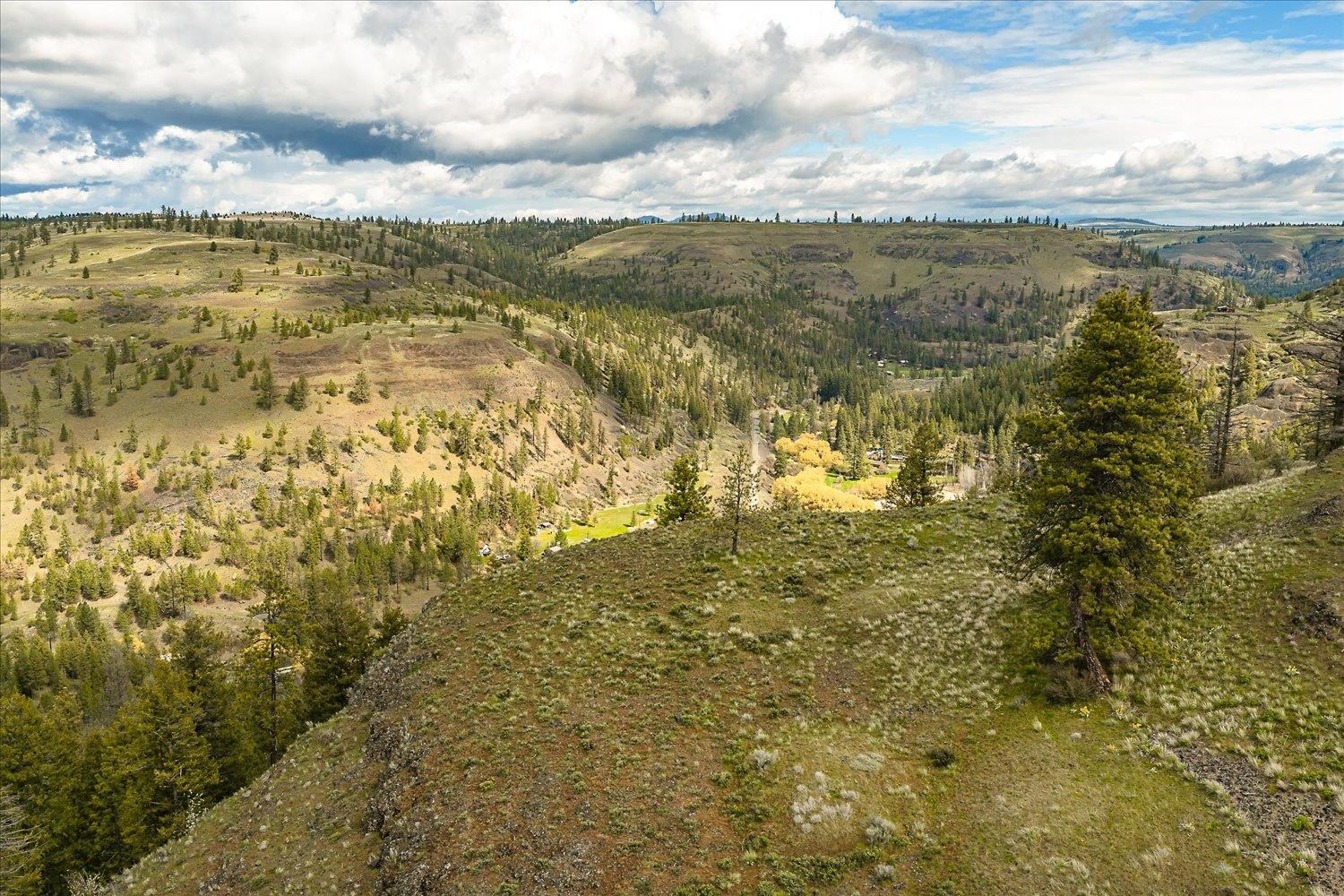 Tract 231 Hawk Creek - Photo 16