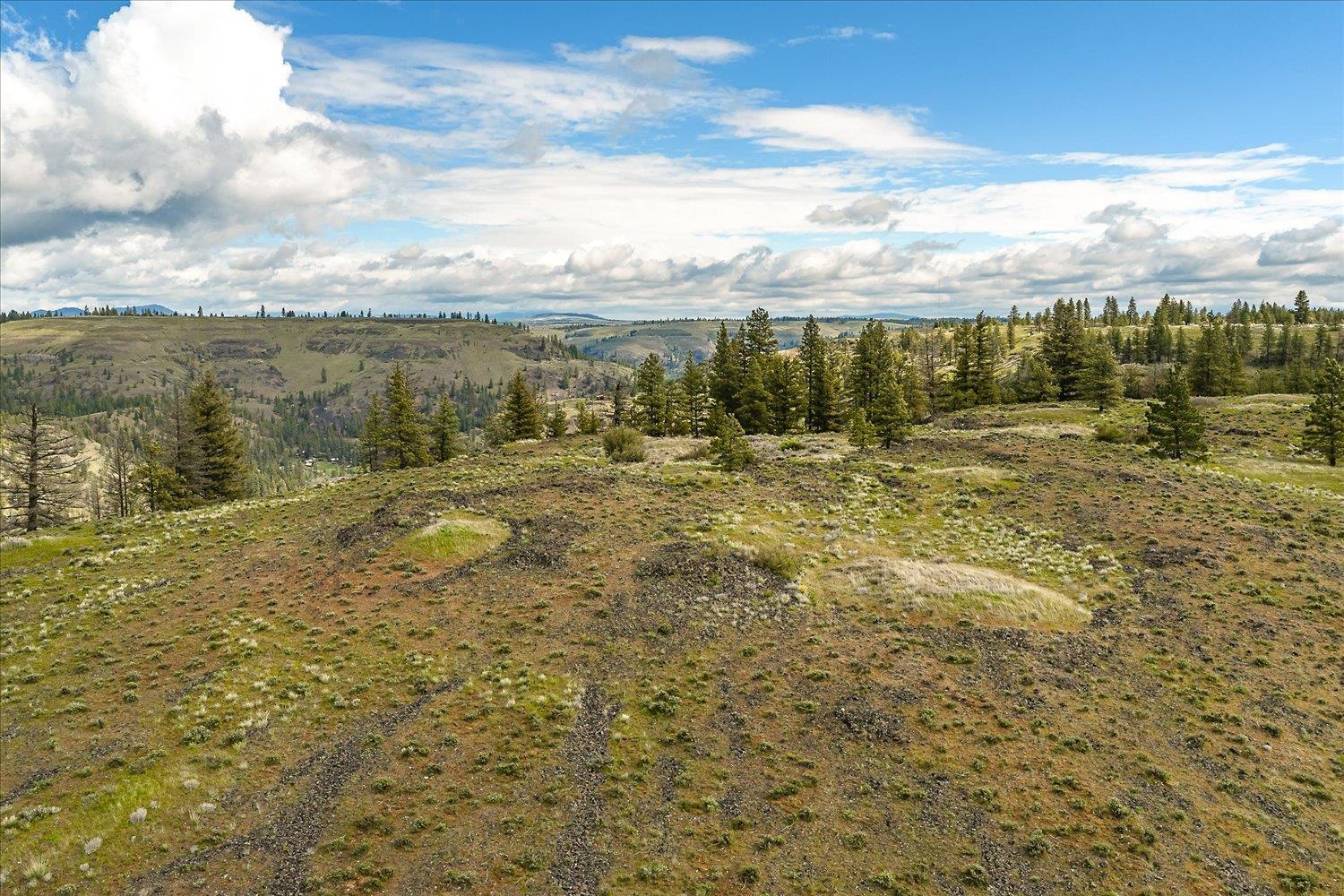 Tract 231 Hawk Creek - Photo 17