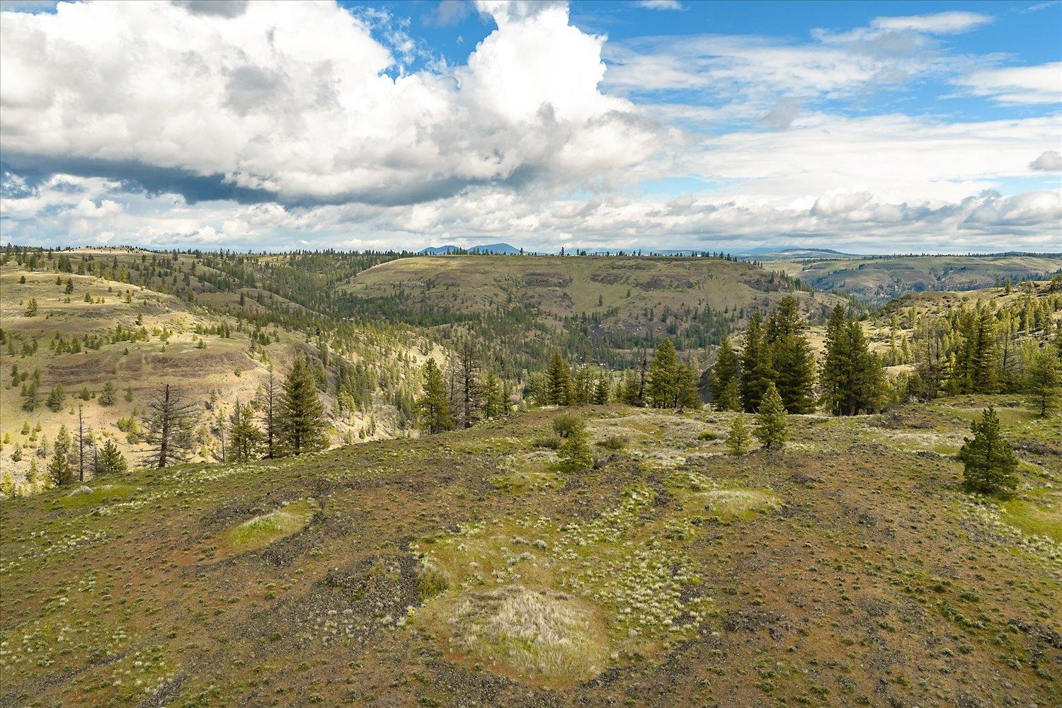 Tract 231 Hawk Creek - Photo 18