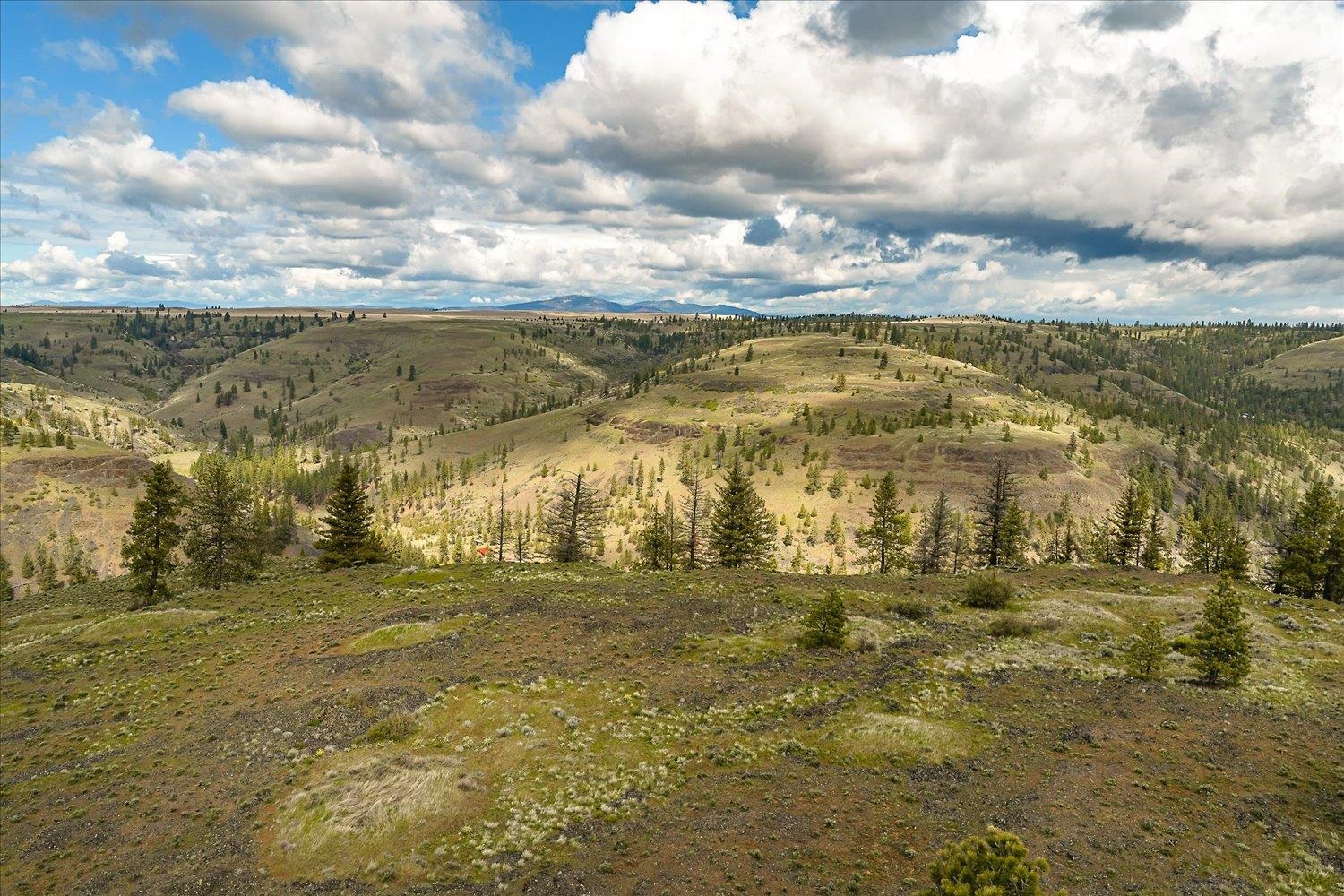 Tract 231 Hawk Creek - Photo 19
