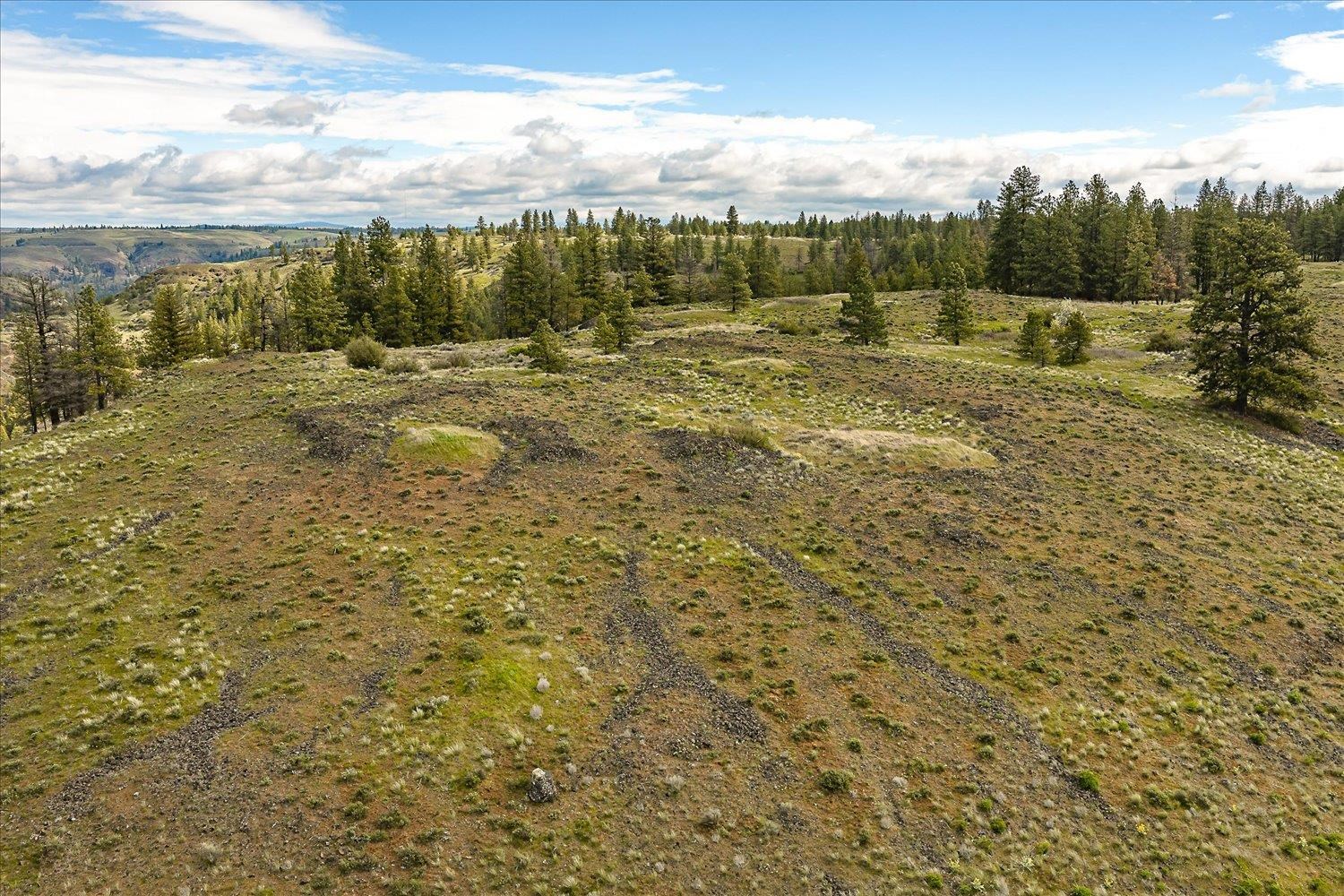 Tract 231 Hawk Creek - Photo 3