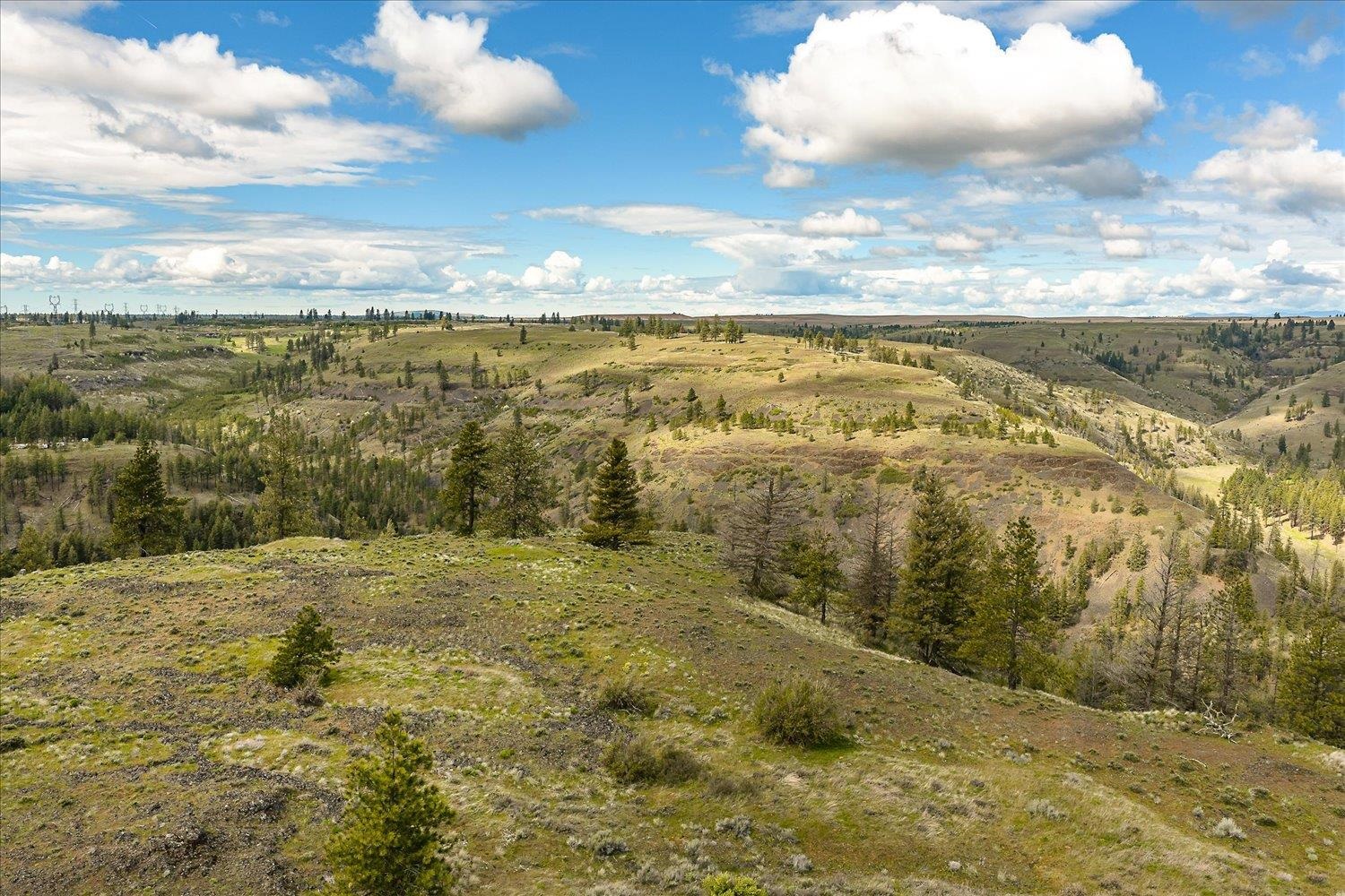 Tract 231 Hawk Creek - Photo 21
