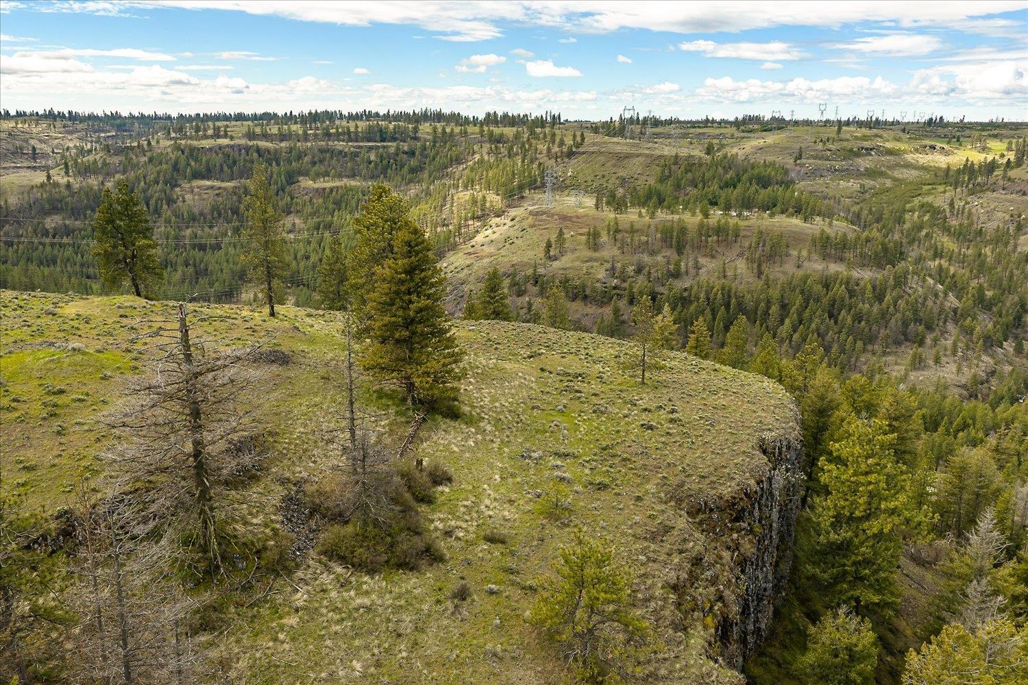 Tract 231 Hawk Creek - Photo 24