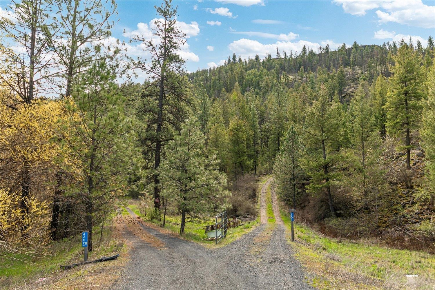 Tract 231 Hawk Creek - Photo 4