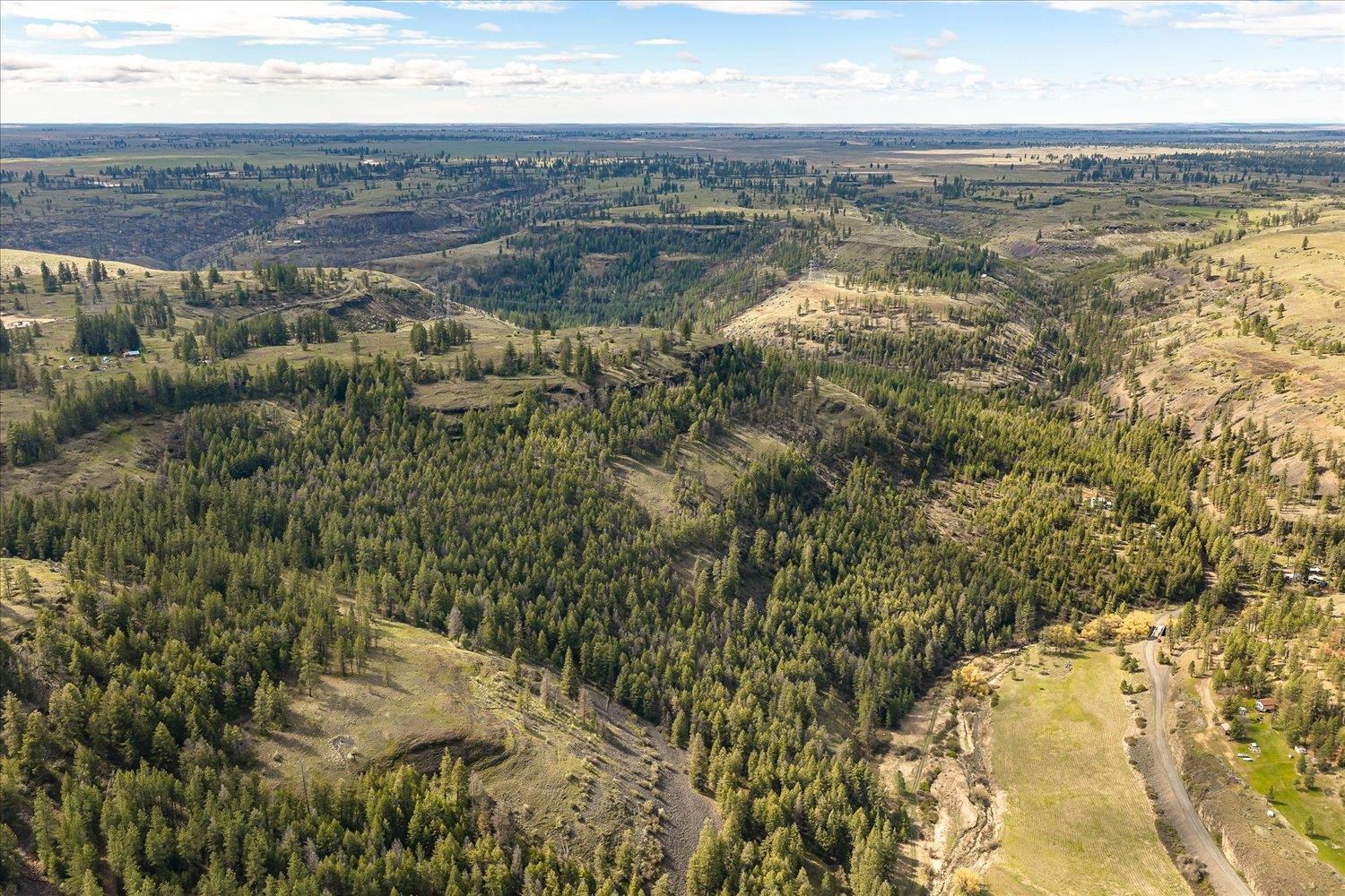 Tract 231 Hawk Creek - Photo 38