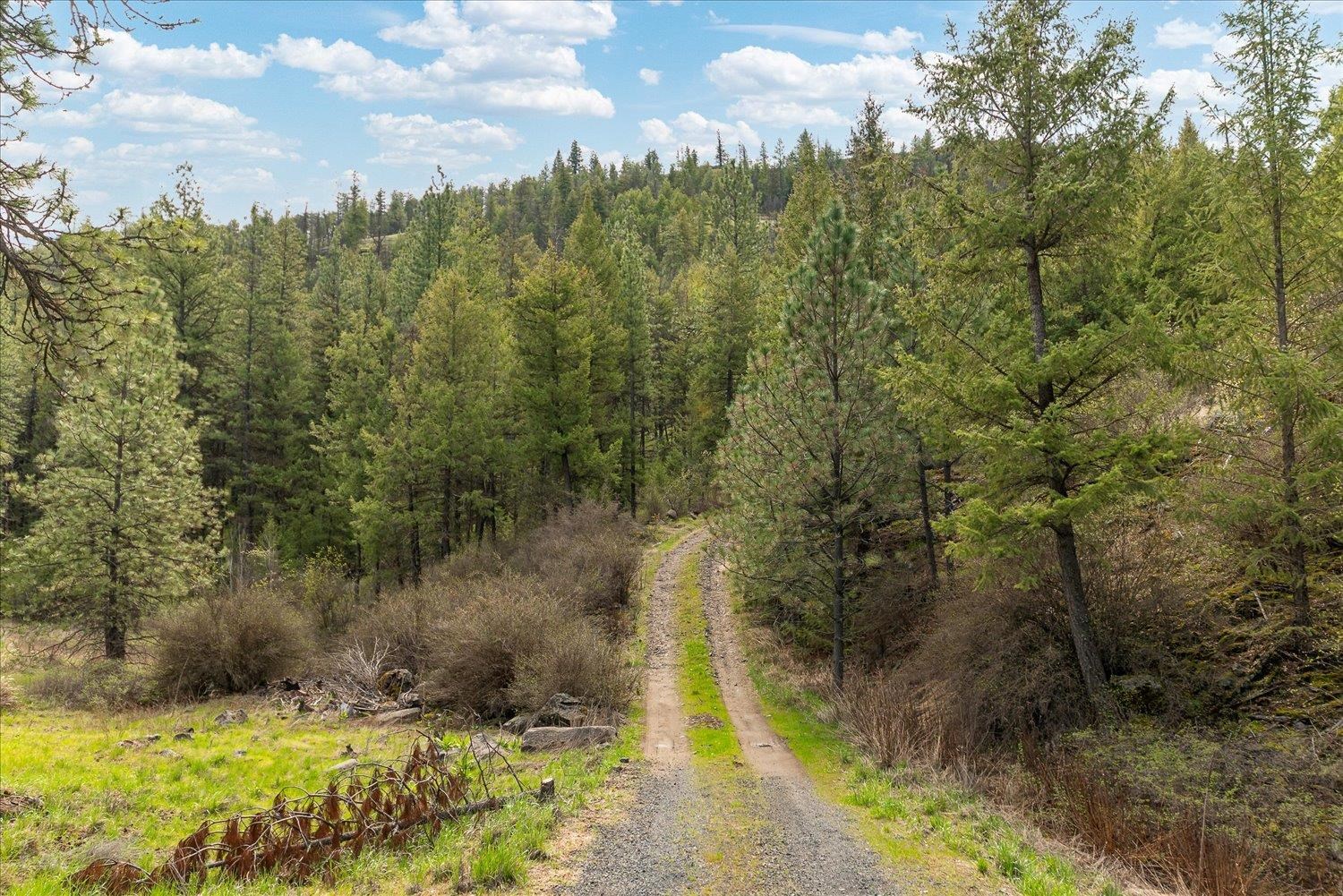 Tract 231 Hawk Creek - Photo 5