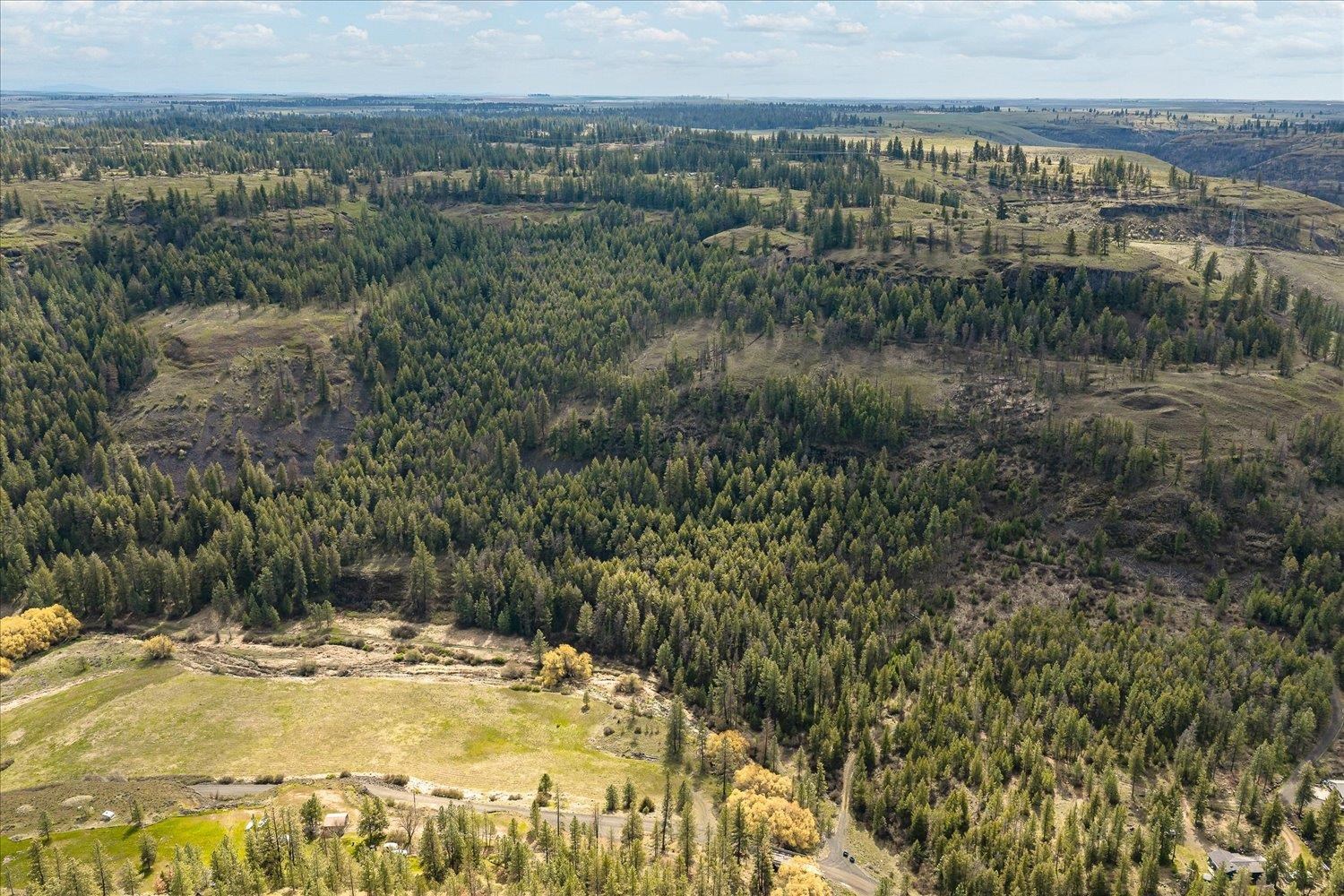 Tract 231 Hawk Creek - Photo 41