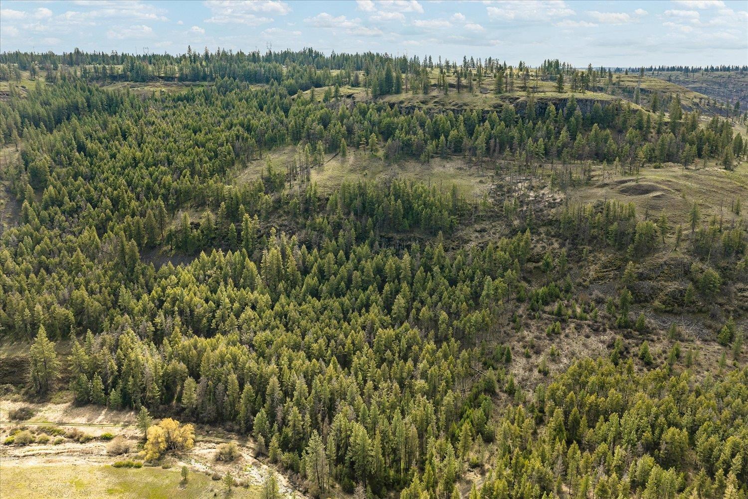 Tract 231 Hawk Creek - Photo 43