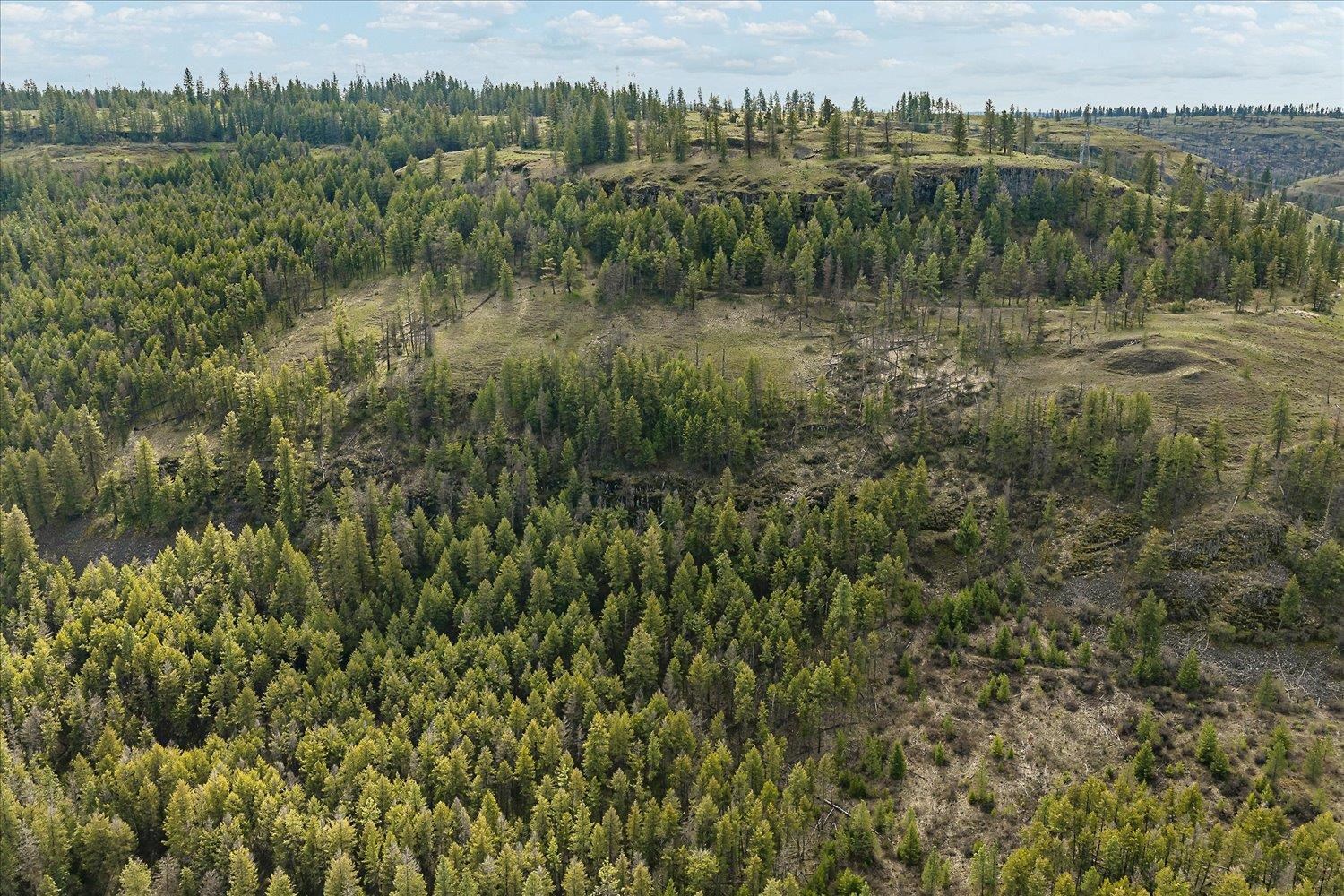 Tract 231 Hawk Creek - Photo 44