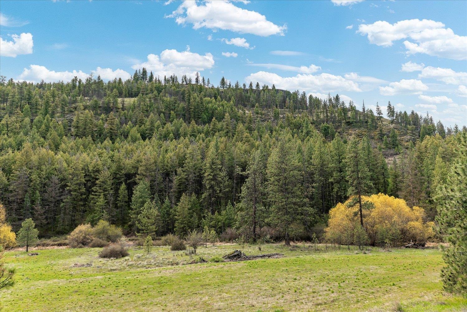 Tract 231 Hawk Creek - Photo 6