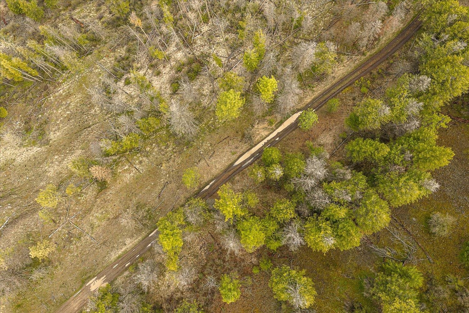 Tract 231 Hawk Creek - Photo 7