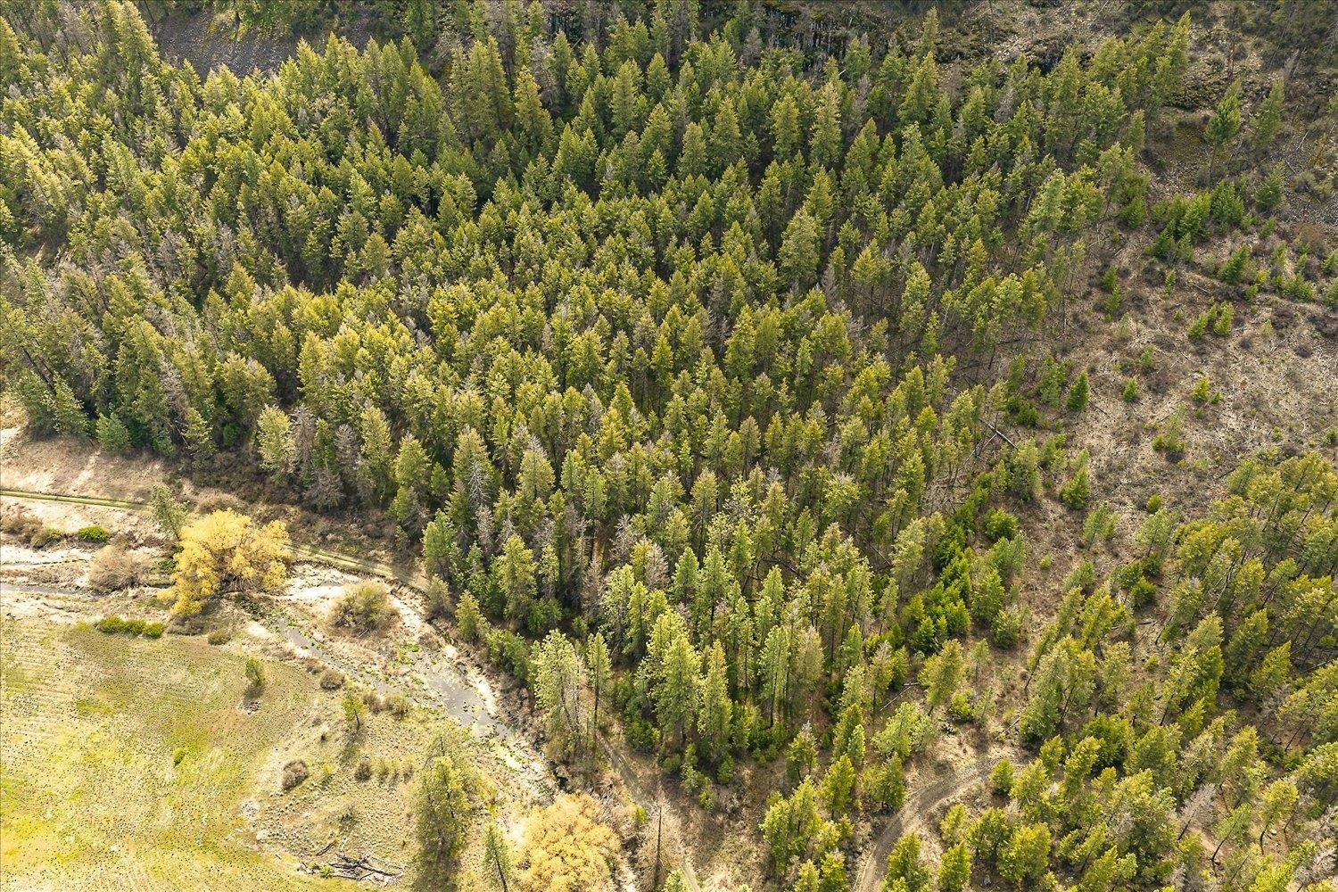 Tract 231 Hawk Creek - Photo 8